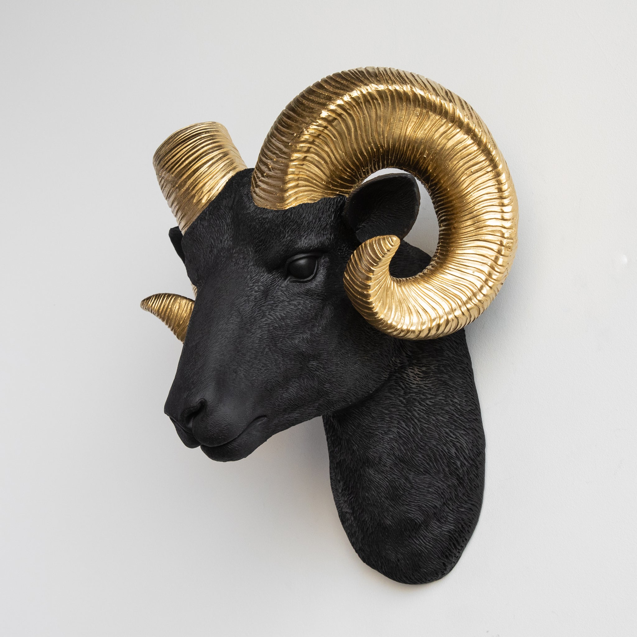 Faux Ram Wall Mount // Black with Gold Horns