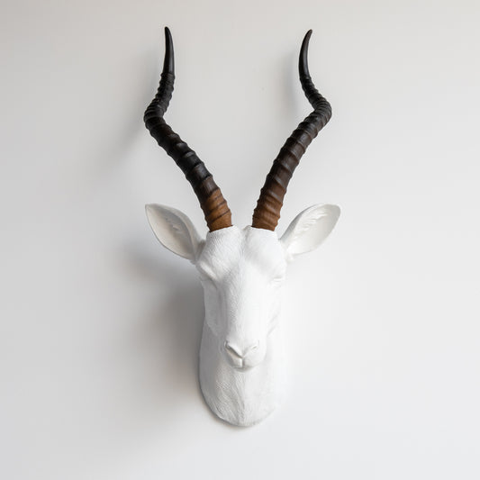 Faux Antelope Head Wall Mount // White with Natural Brown Horns