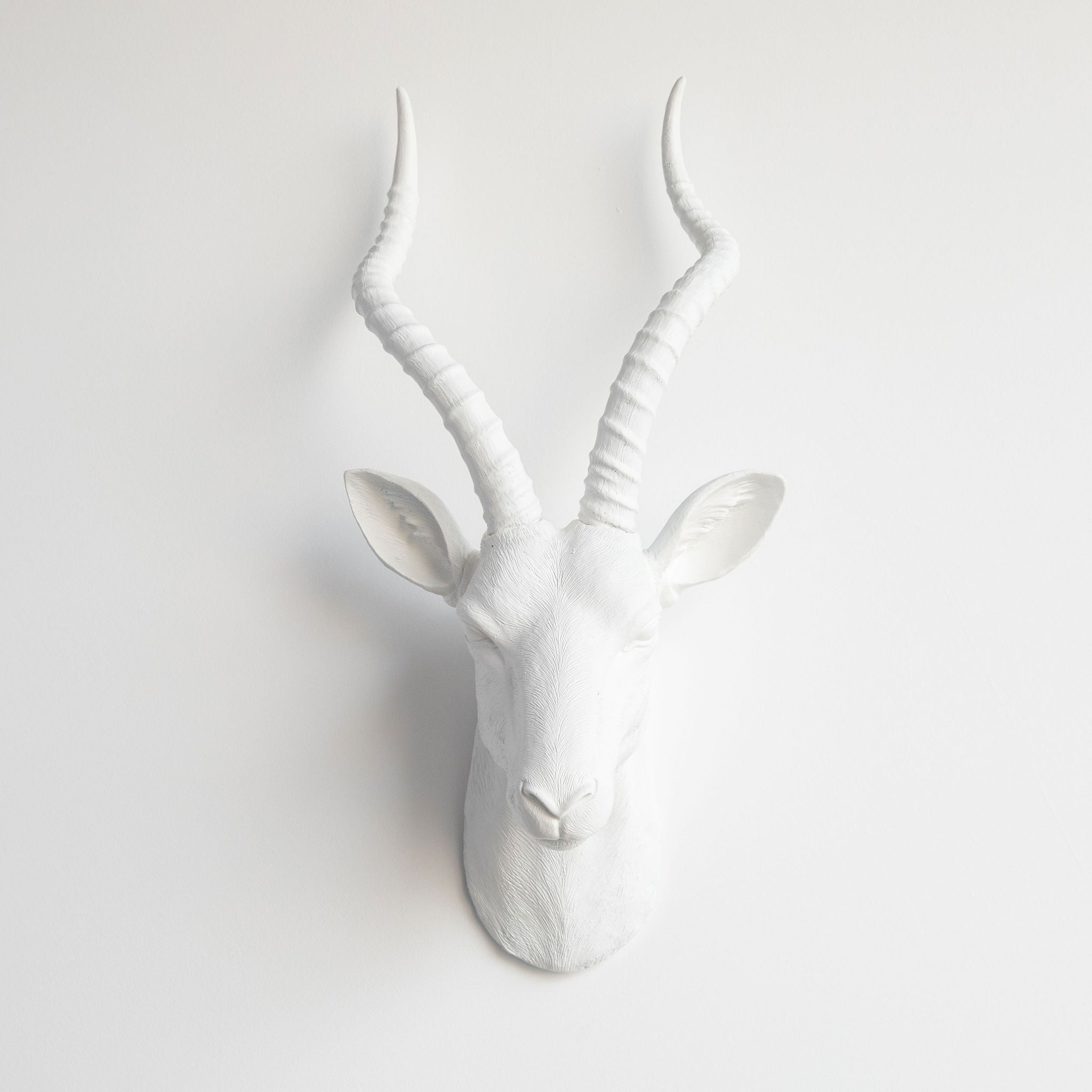 Faux Antelope Head Wall Mount // White