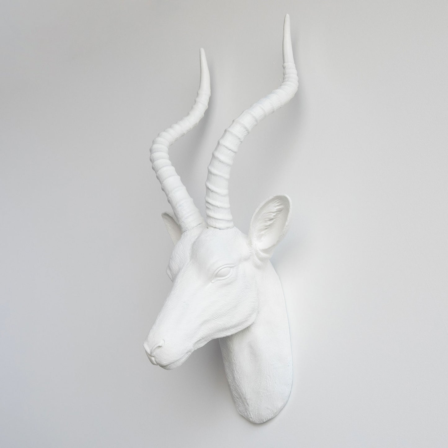 Faux Antelope Head Wall Mount // White