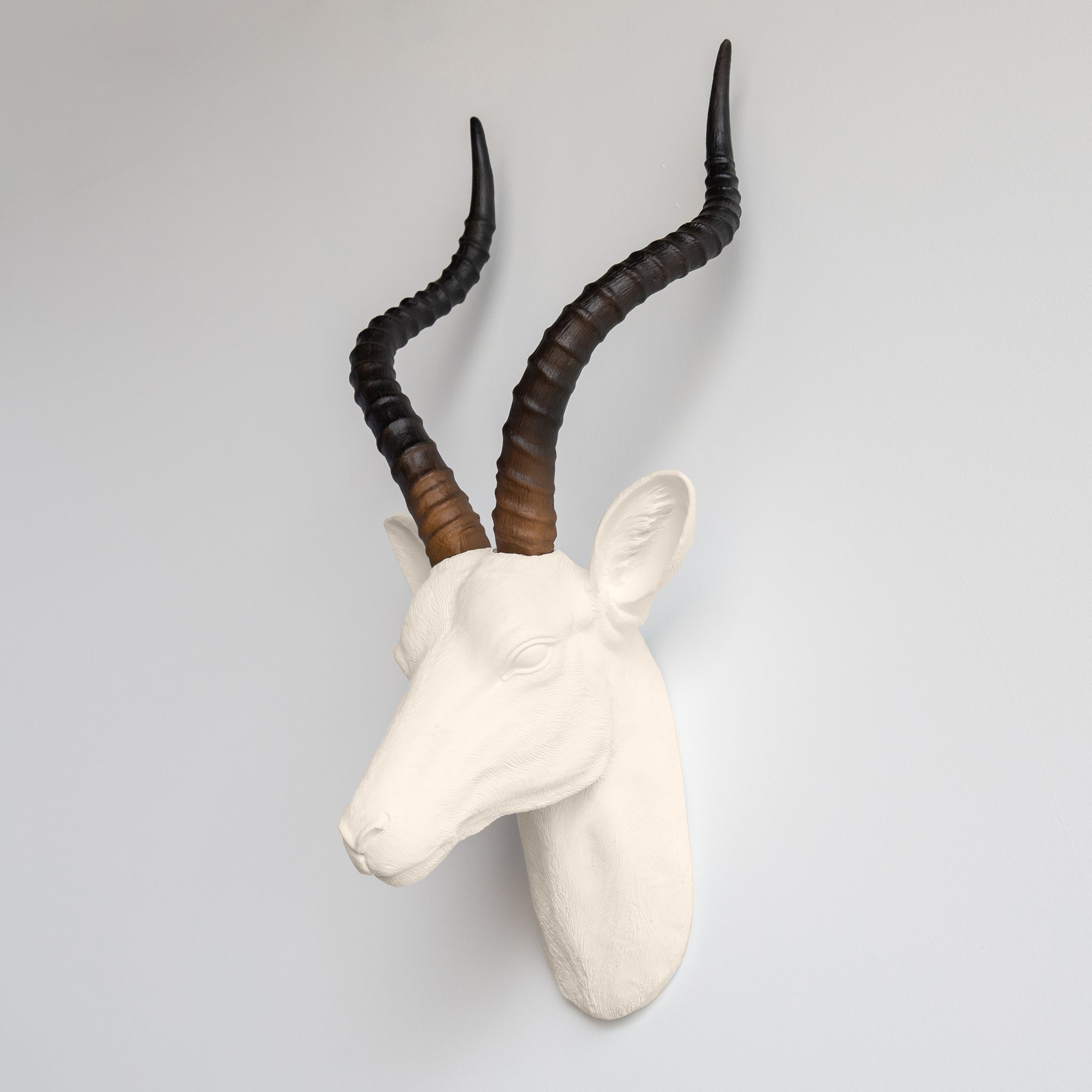 Faux Antelope Head Wall Mount // Ivory with Natural Brown Horns