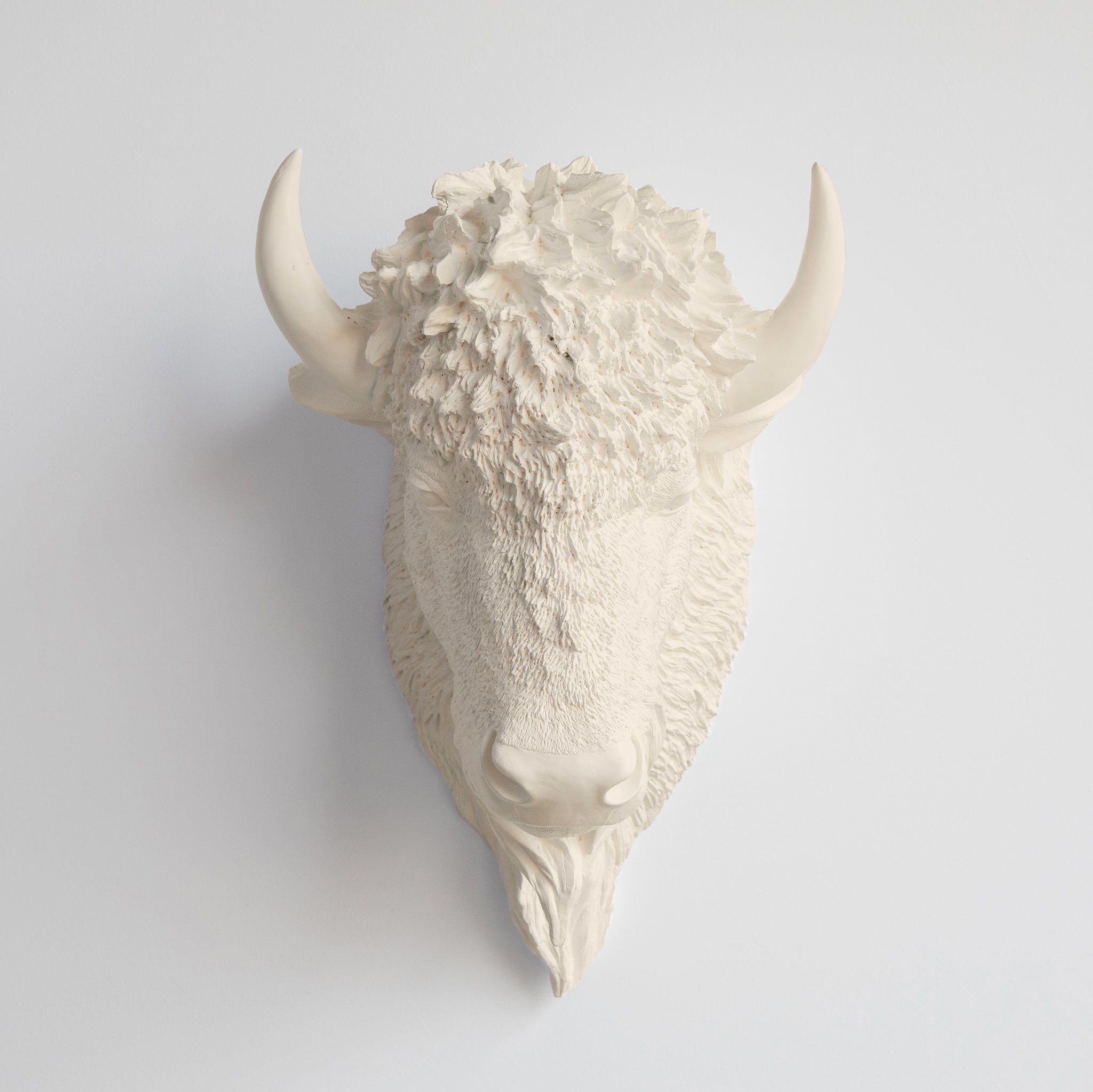 Faux Buffalo Bison Head Wall Mount // Ivory