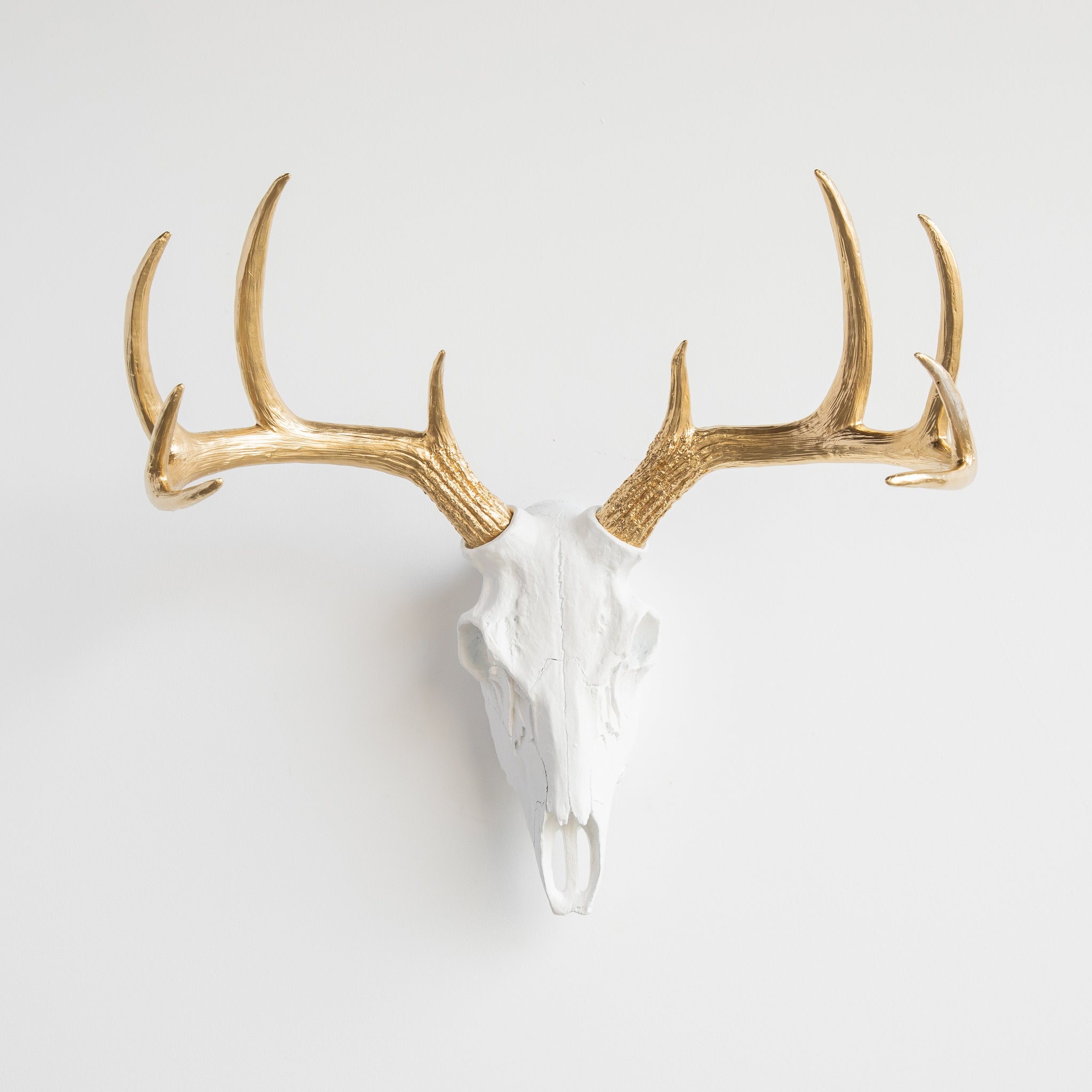 Faux Deer Skull // White and Gold