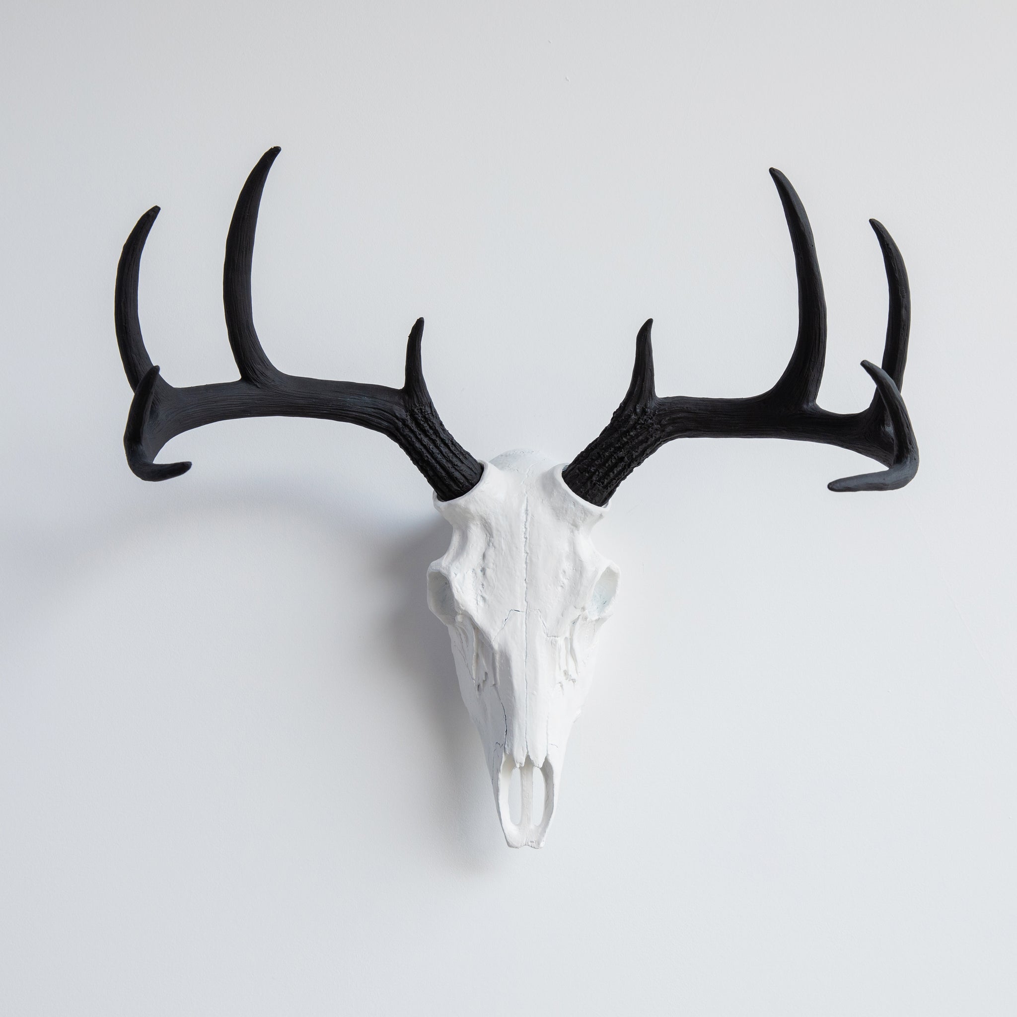 Faux Deer Skull // White and Black