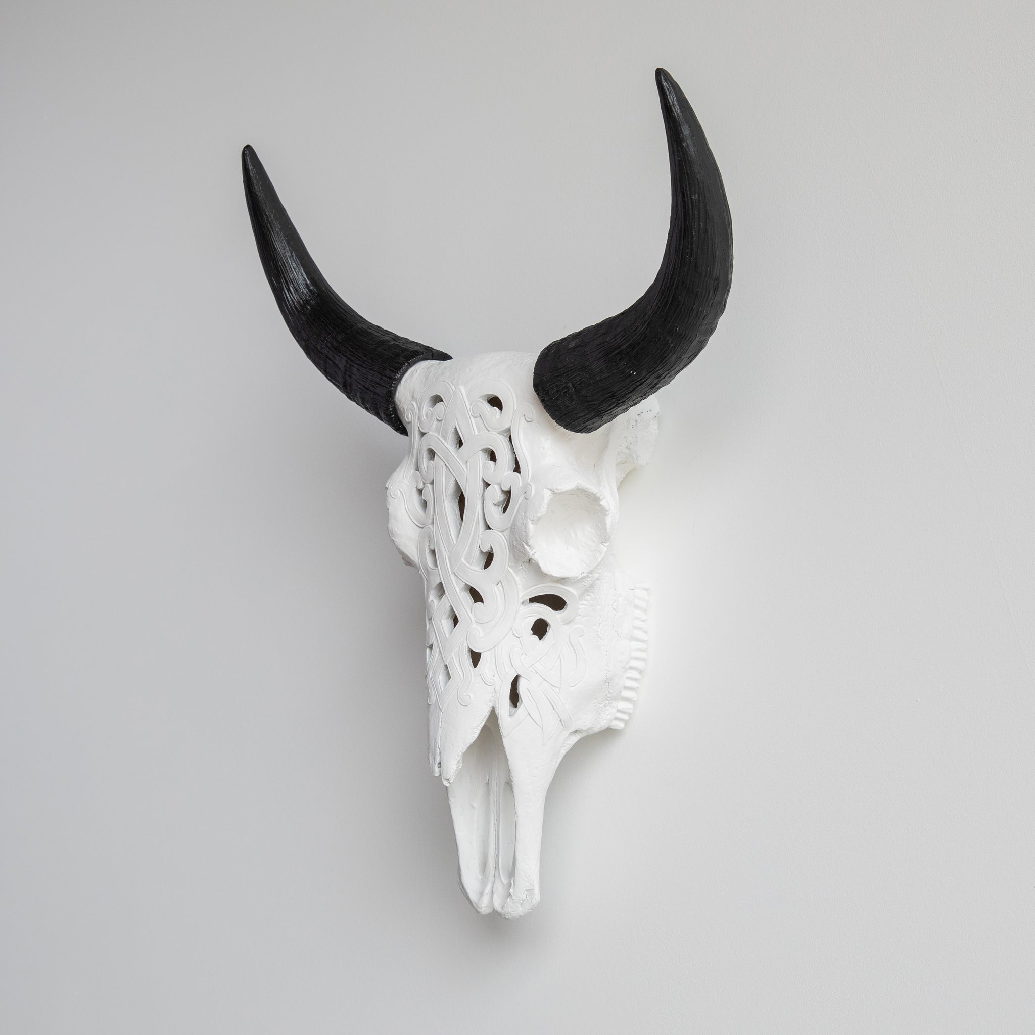 Faux Carved Cow Skull // White and Black