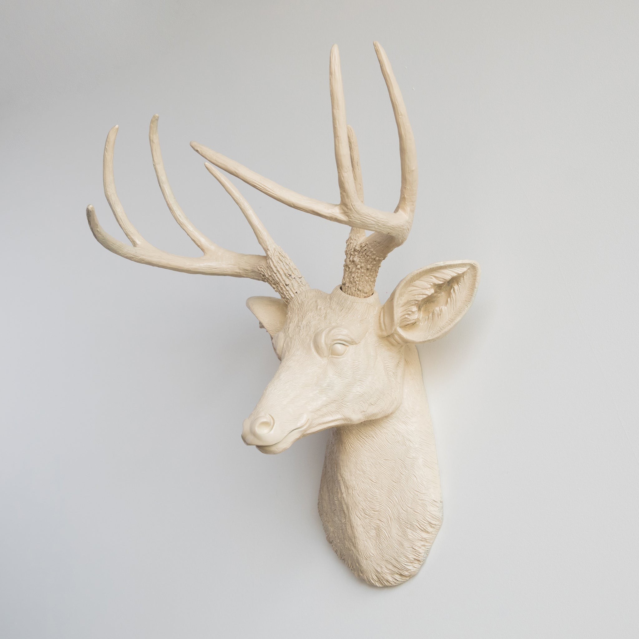 Faux Deer Head Wall Mount // Ivory