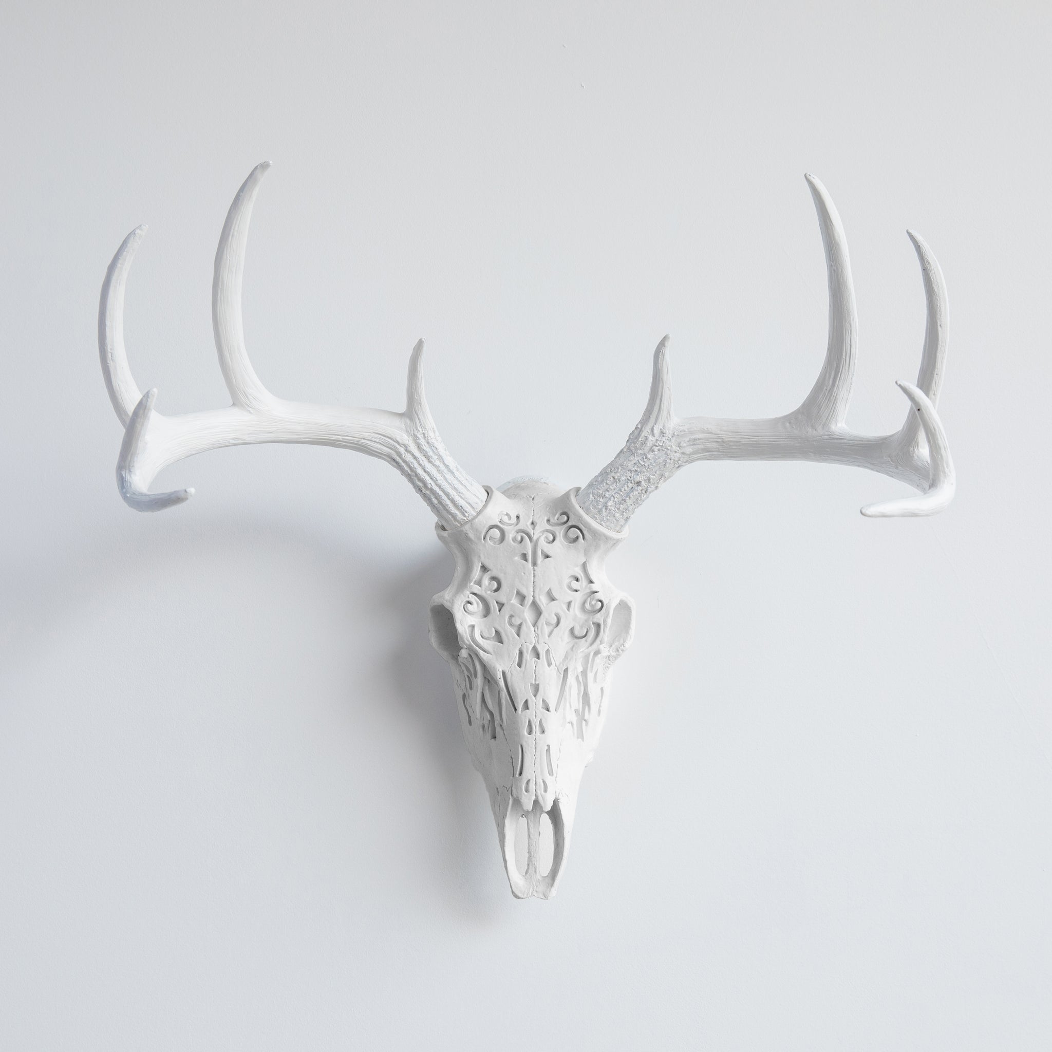 Faux Carved Deer Skull // White