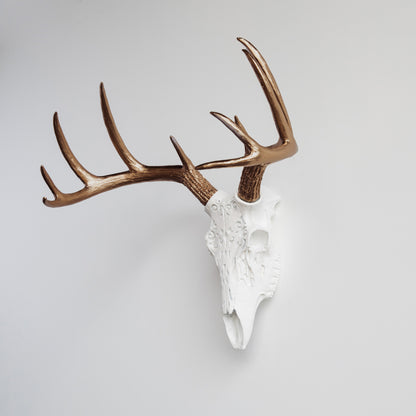 Faux Carved Deer Skull // White and Bronze