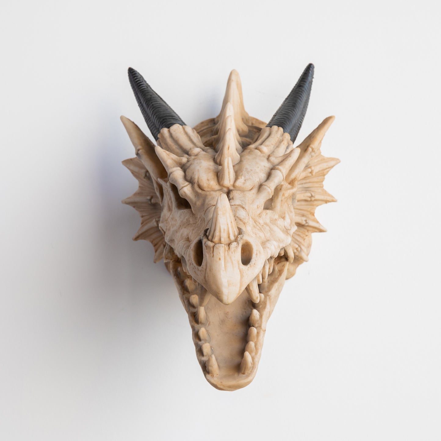 Faux Dragon Skull Mount // Bone