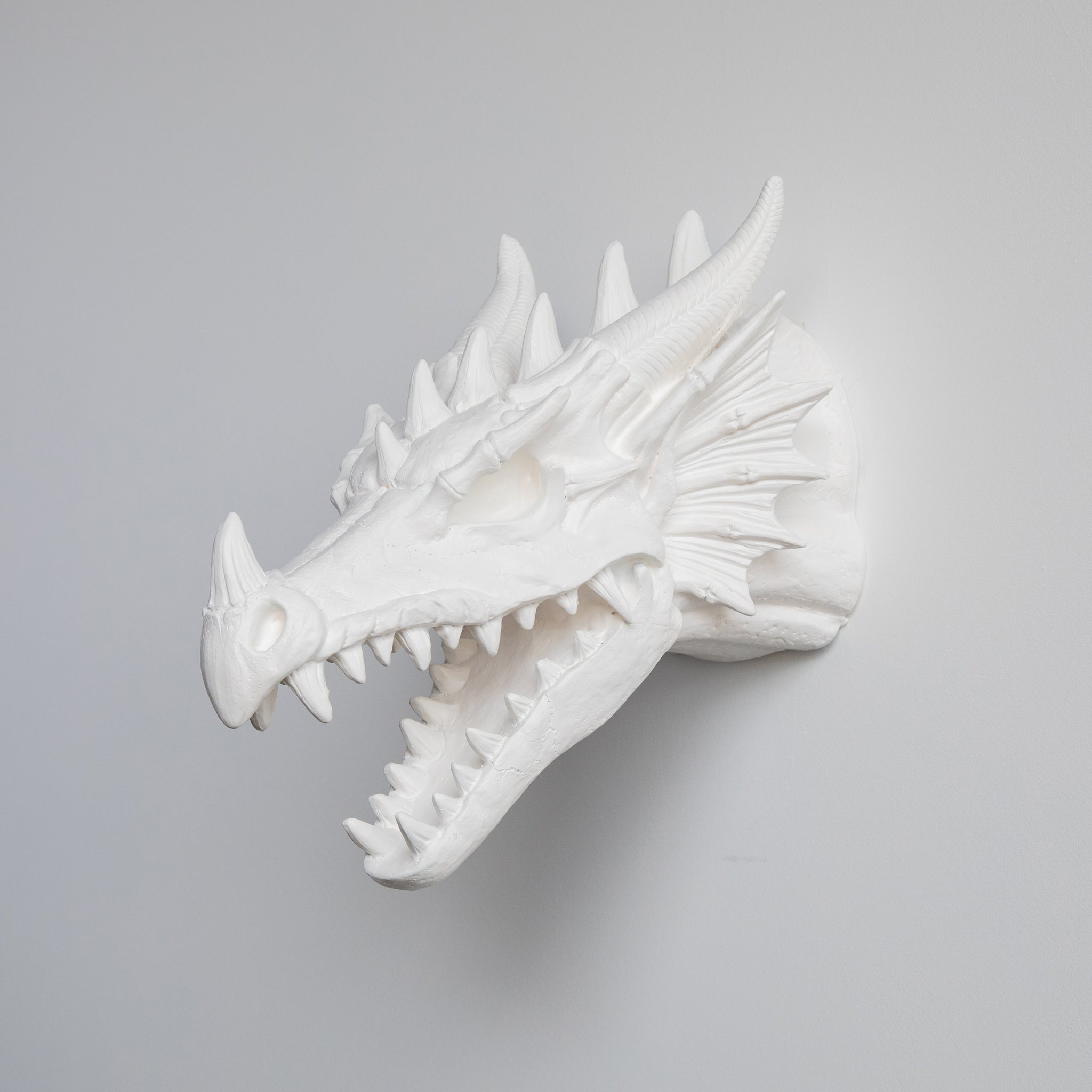 Faux Dragon Skull Mount // White