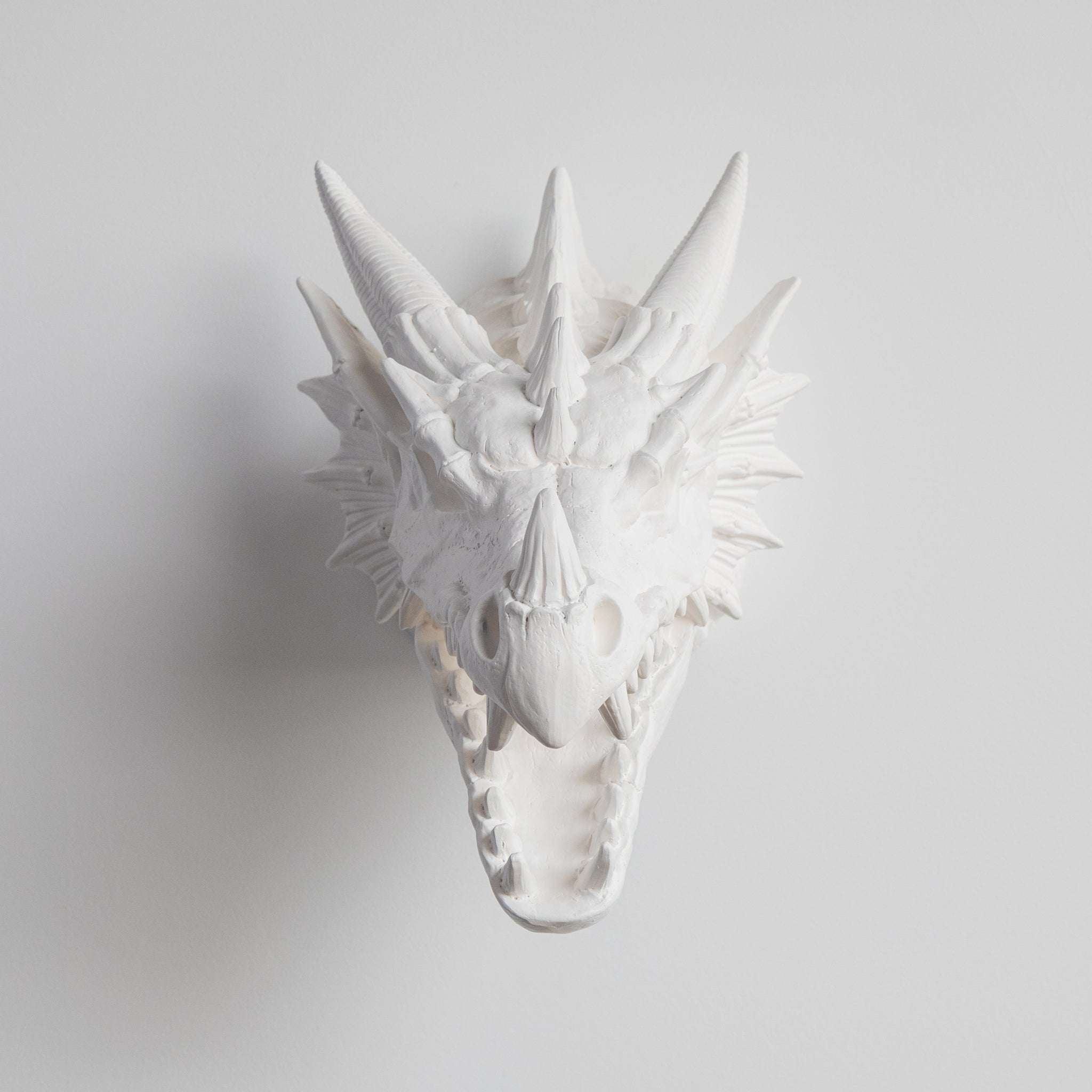 Faux Dragon Skull Mount // White