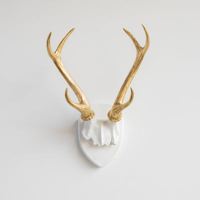 Faux Hunter's Trophy