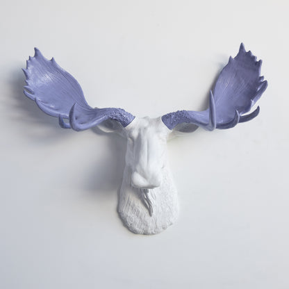 Faux Moose Head Wall Mount // White and Lavender