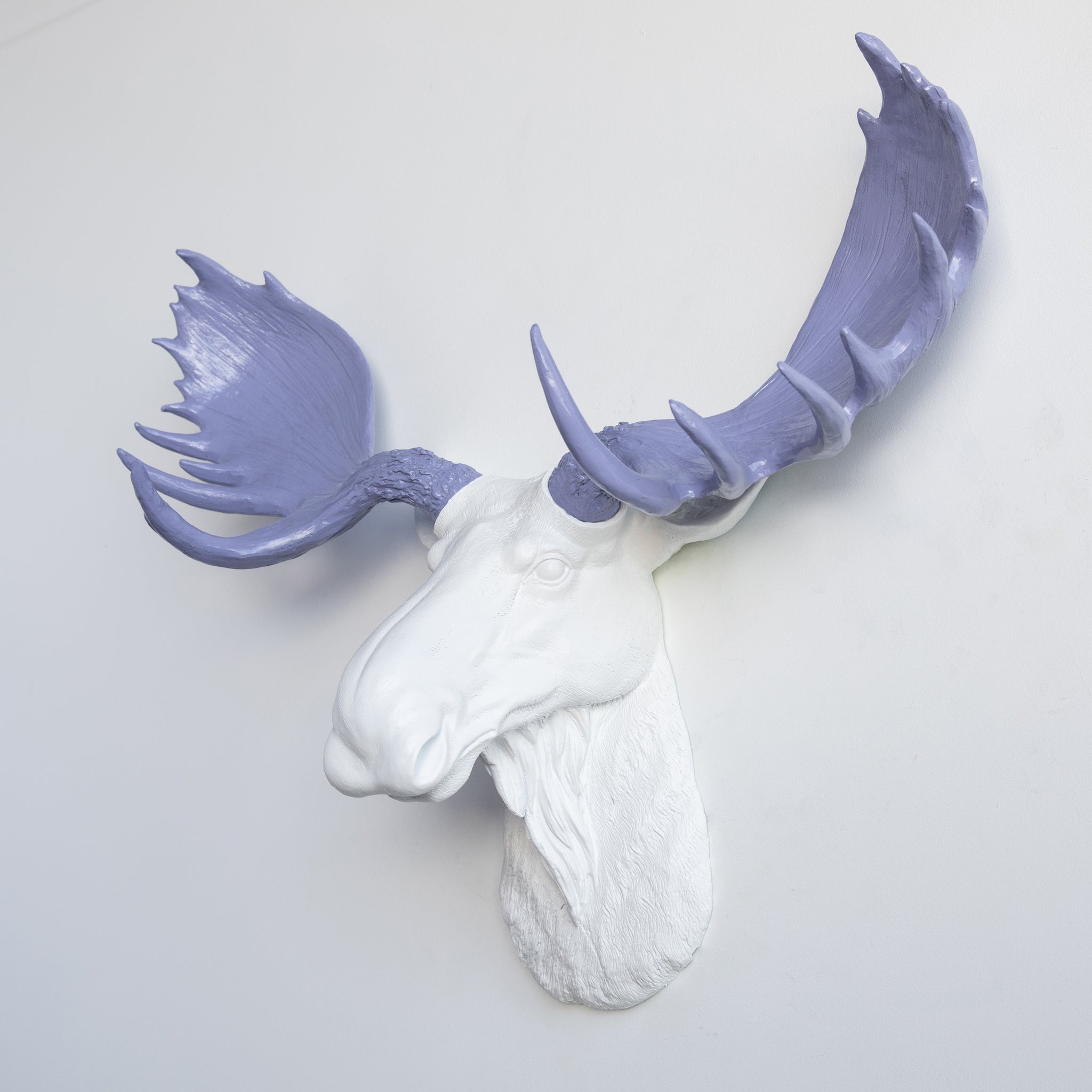 Faux Moose Head Wall Mount // White and Lavender