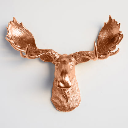 Faux Moose Head Wall Mount // Rose Gold