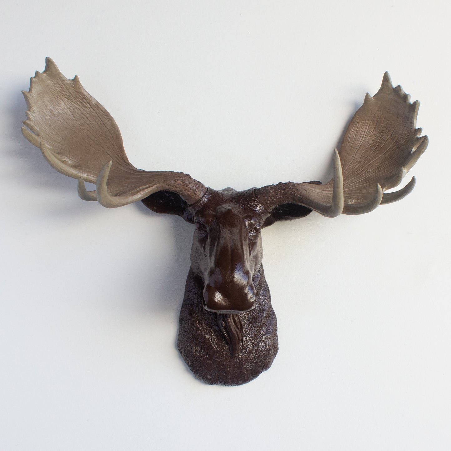 Faux Moose Head Wall Mount // Espresso Brown with Natural Antlers