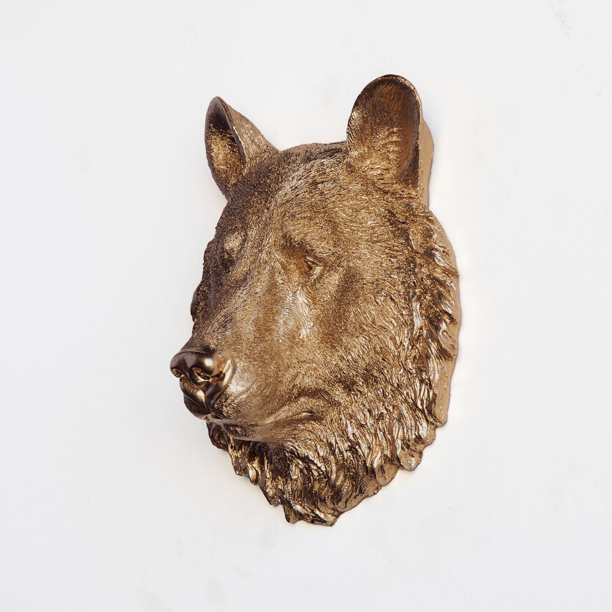 Faux Small Bear Head Wall Mount // Bronze