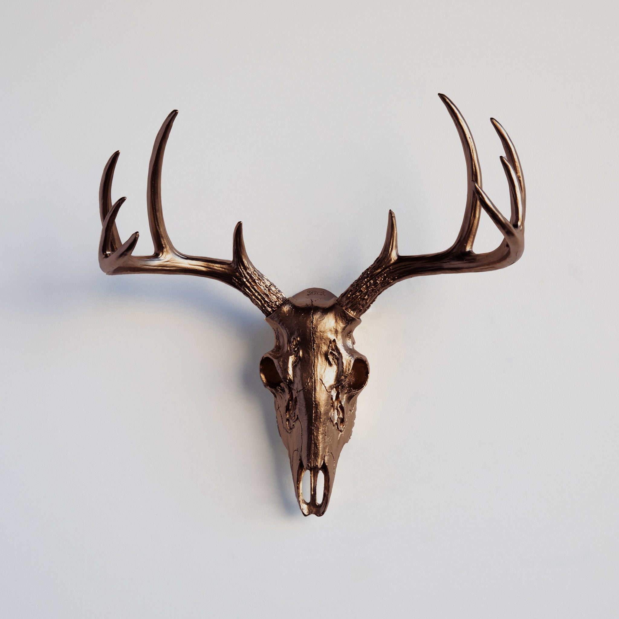 Faux Small Deer Skull // Bronze
