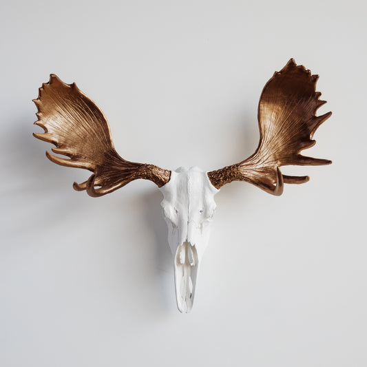 Faux Moose Skull Wall Mount // White and Bronze