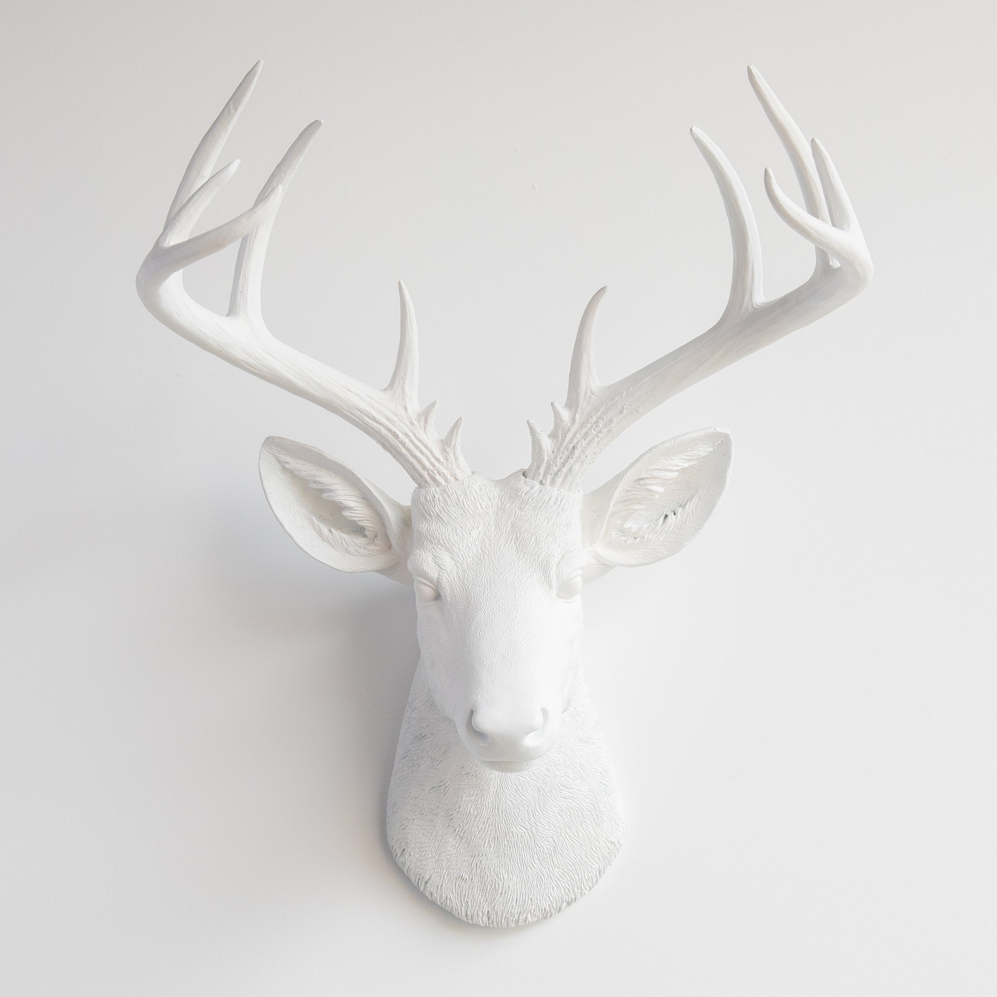 Faux Stag Deer Head Wall Mount // White