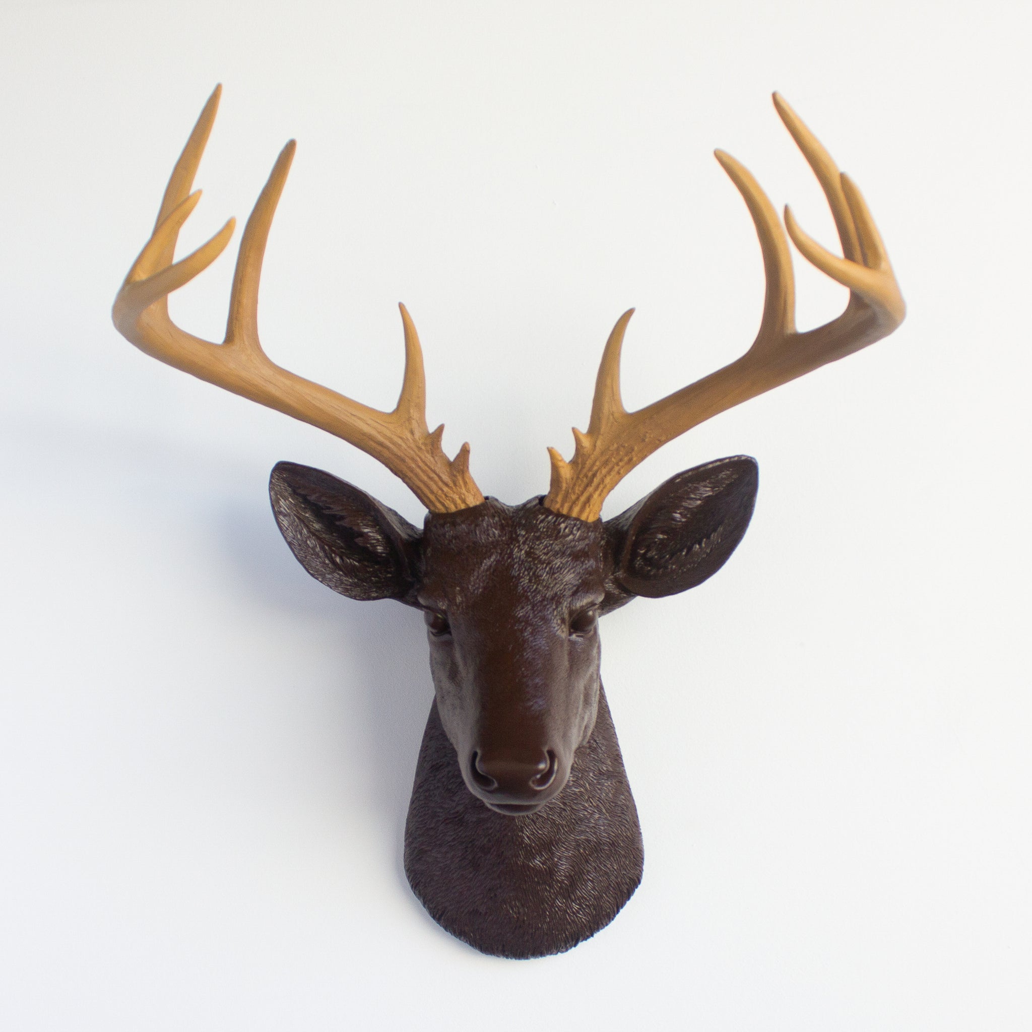 Faux Stag Deer Head Wall Mount // Espresso Brown and Natural