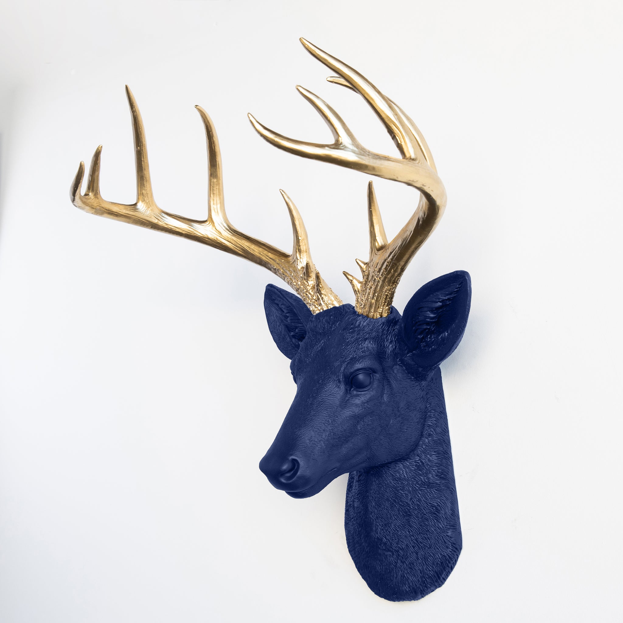 Faux Stag Deer Head Wall Mount // Navy and Gold