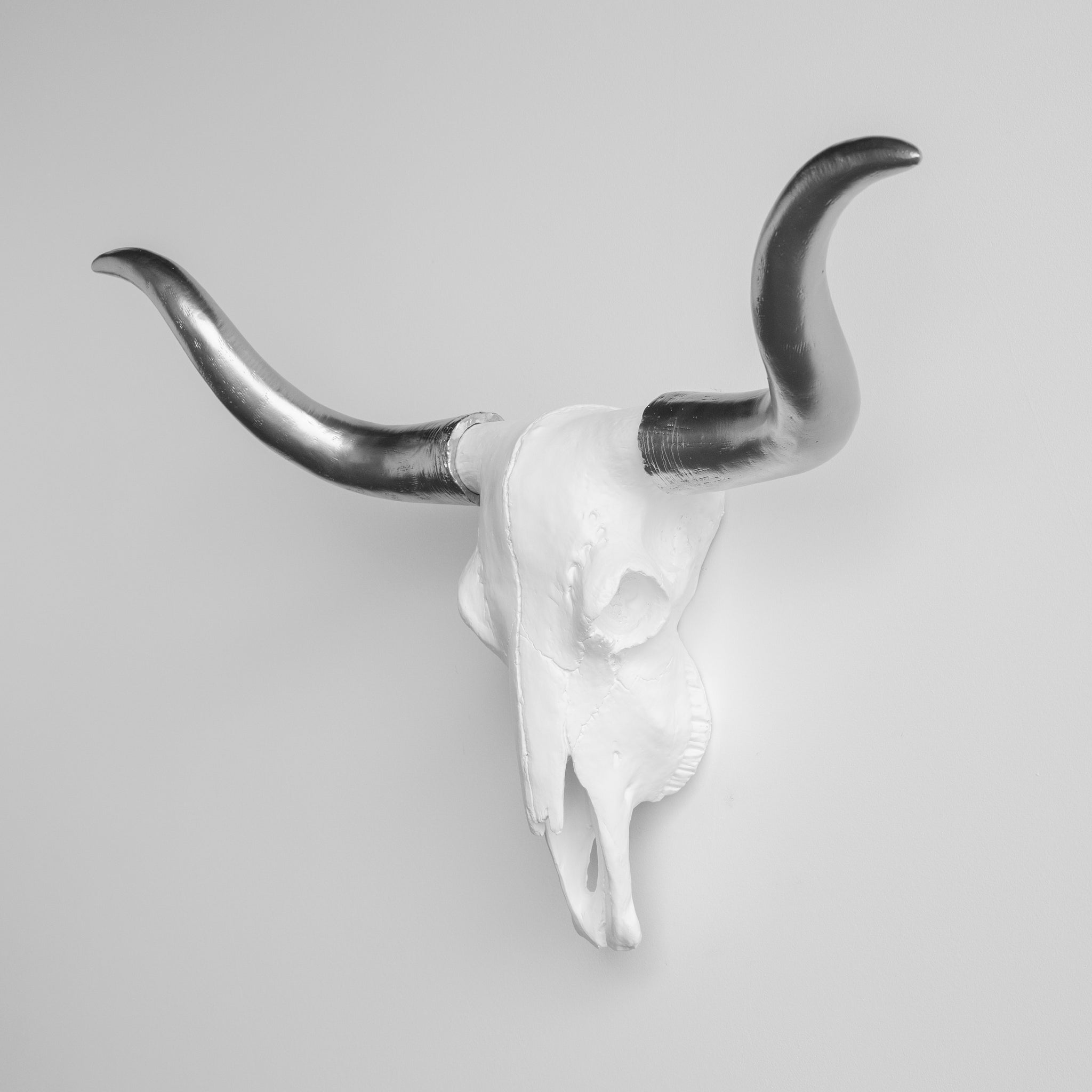 Faux Texas Longhorn Steer Skull Wall Mount // White and Silver