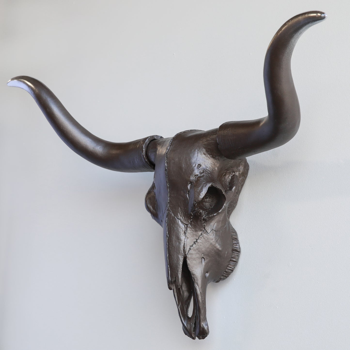 Faux Texas Longhorn Steer Skull Wall Mount // Oil-Rubbed Bronze to Chrome Ombre
