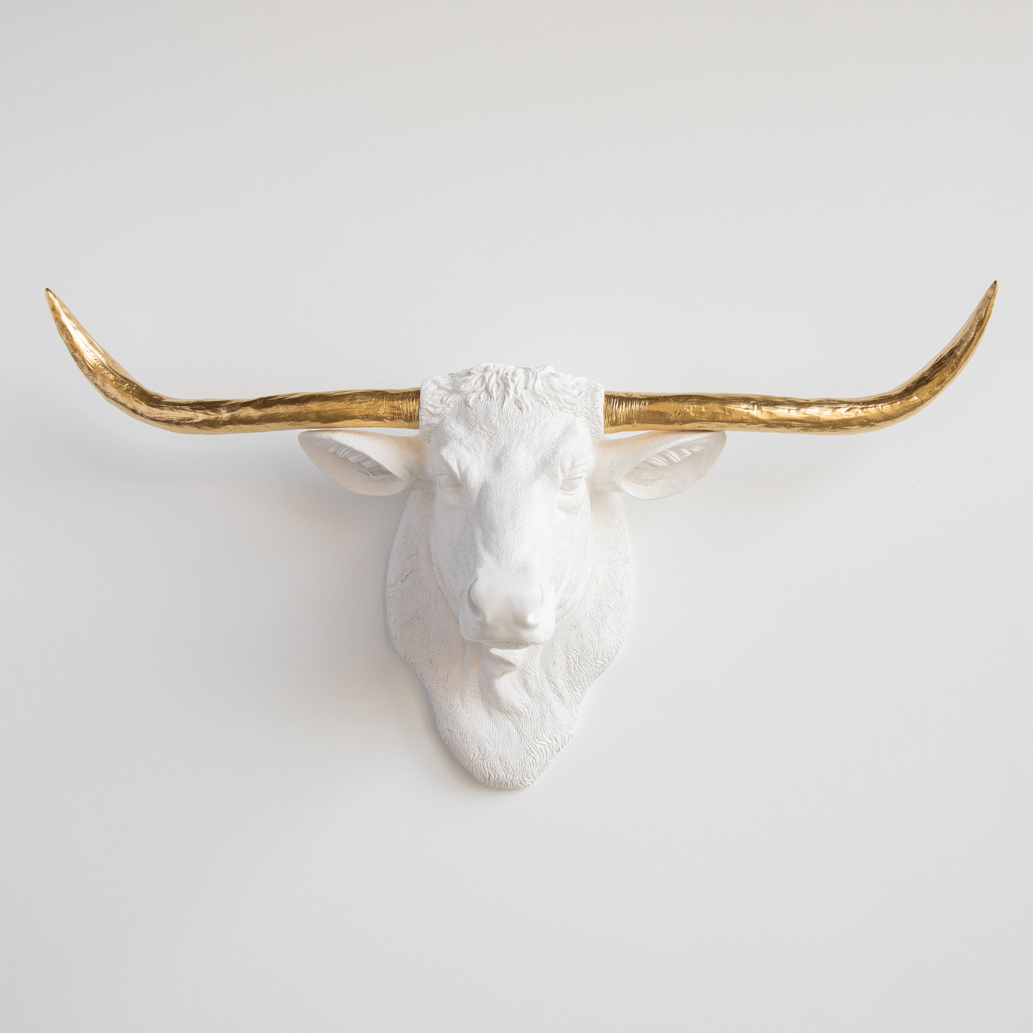 Faux Texas Longhorn Head Wall Mount // White and Gold