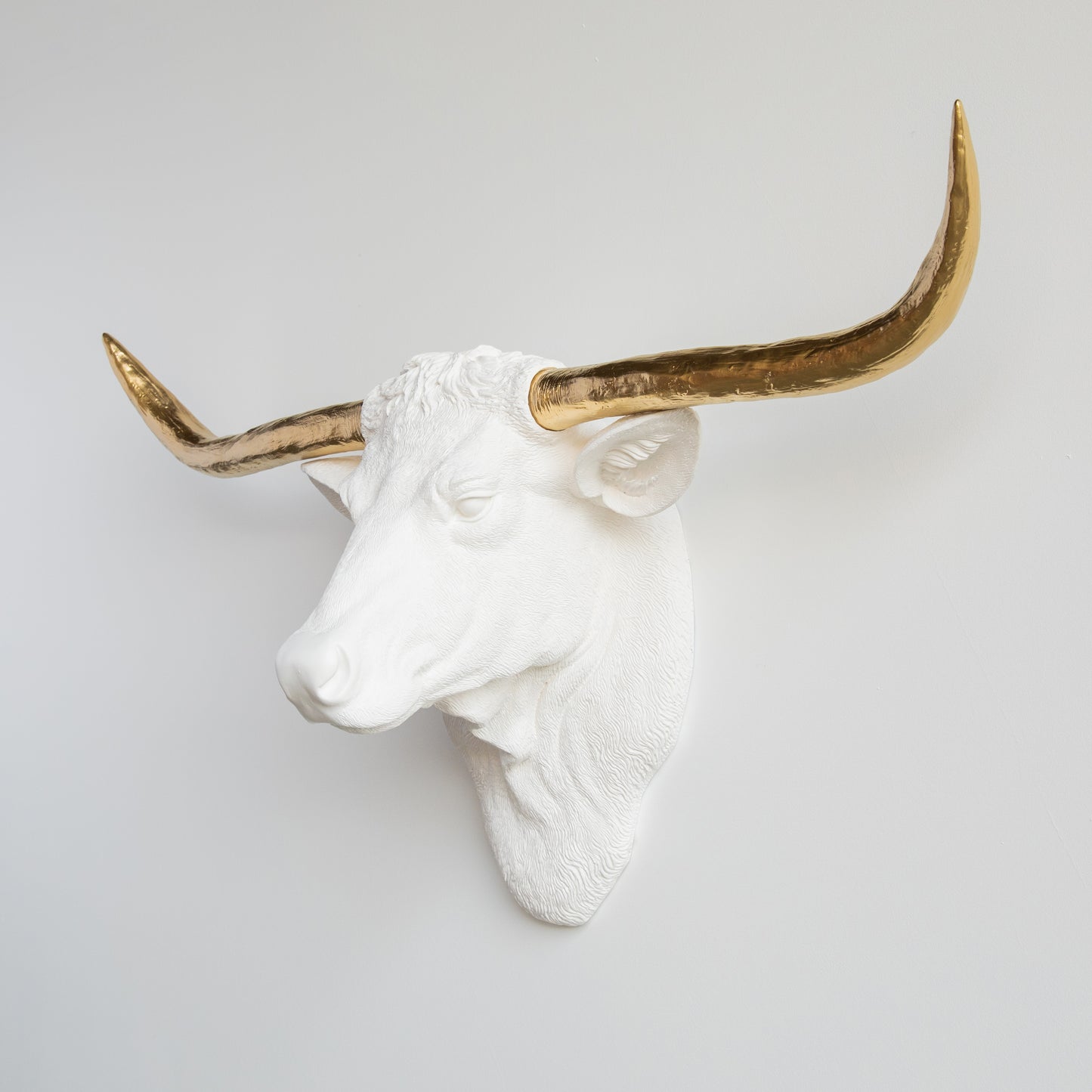 Faux Texas Longhorn Head Wall Mount // White and Gold