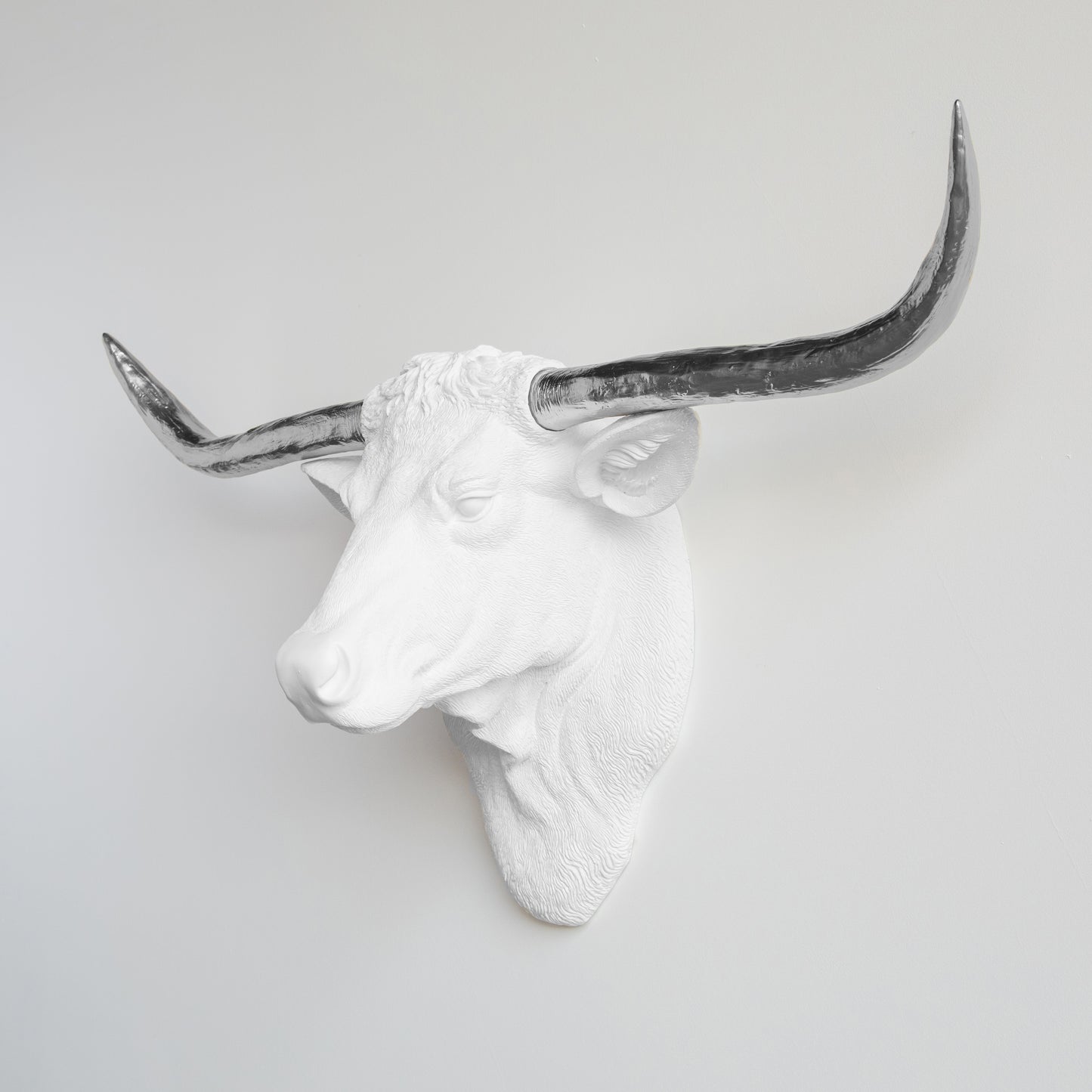 Faux Texas Longhorn Head Wall Mount // White and Silver