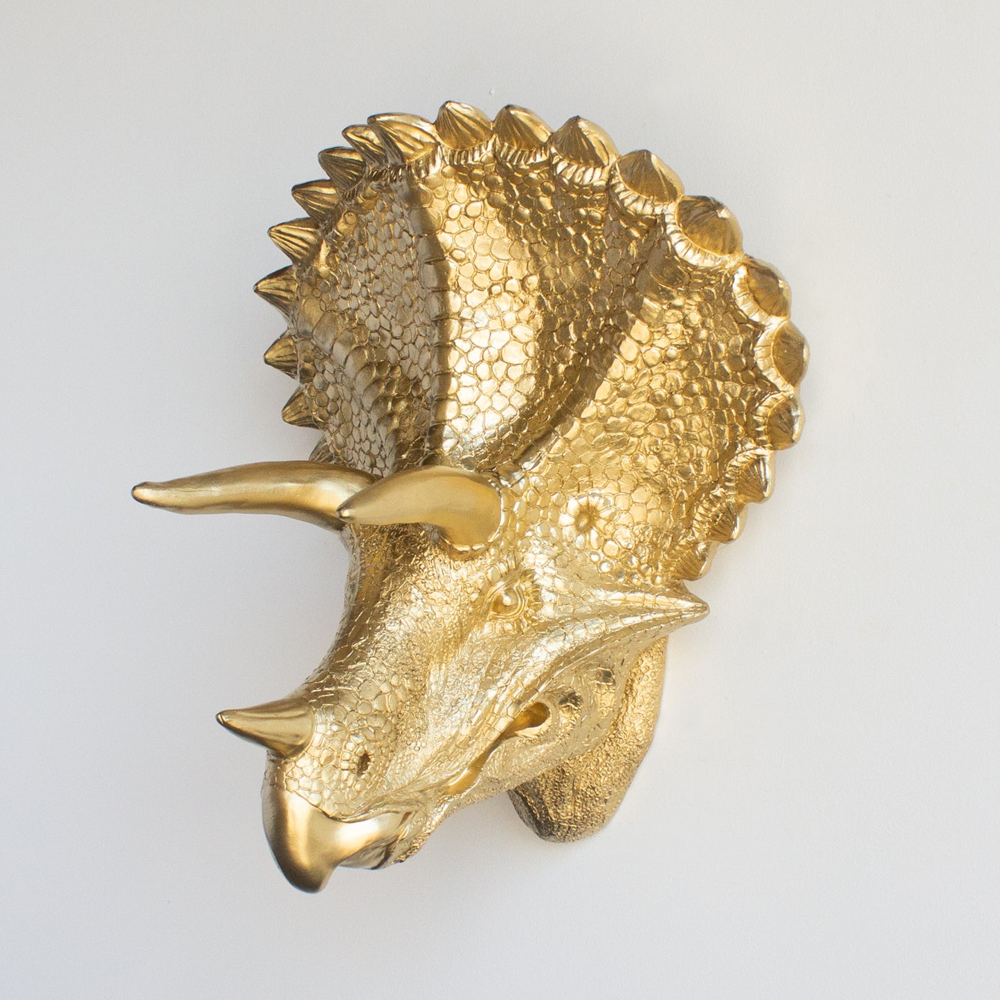 Triceratops Dinosaur Mount // Gold