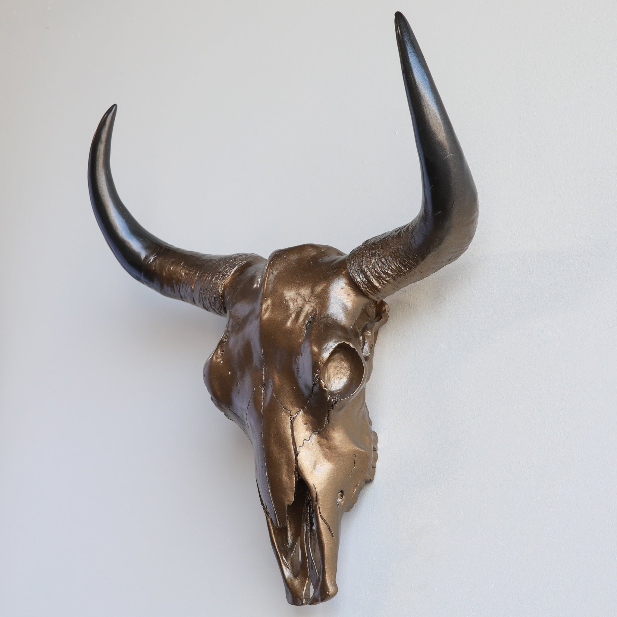 XL Faux Bison Skull // Bronze Ombre