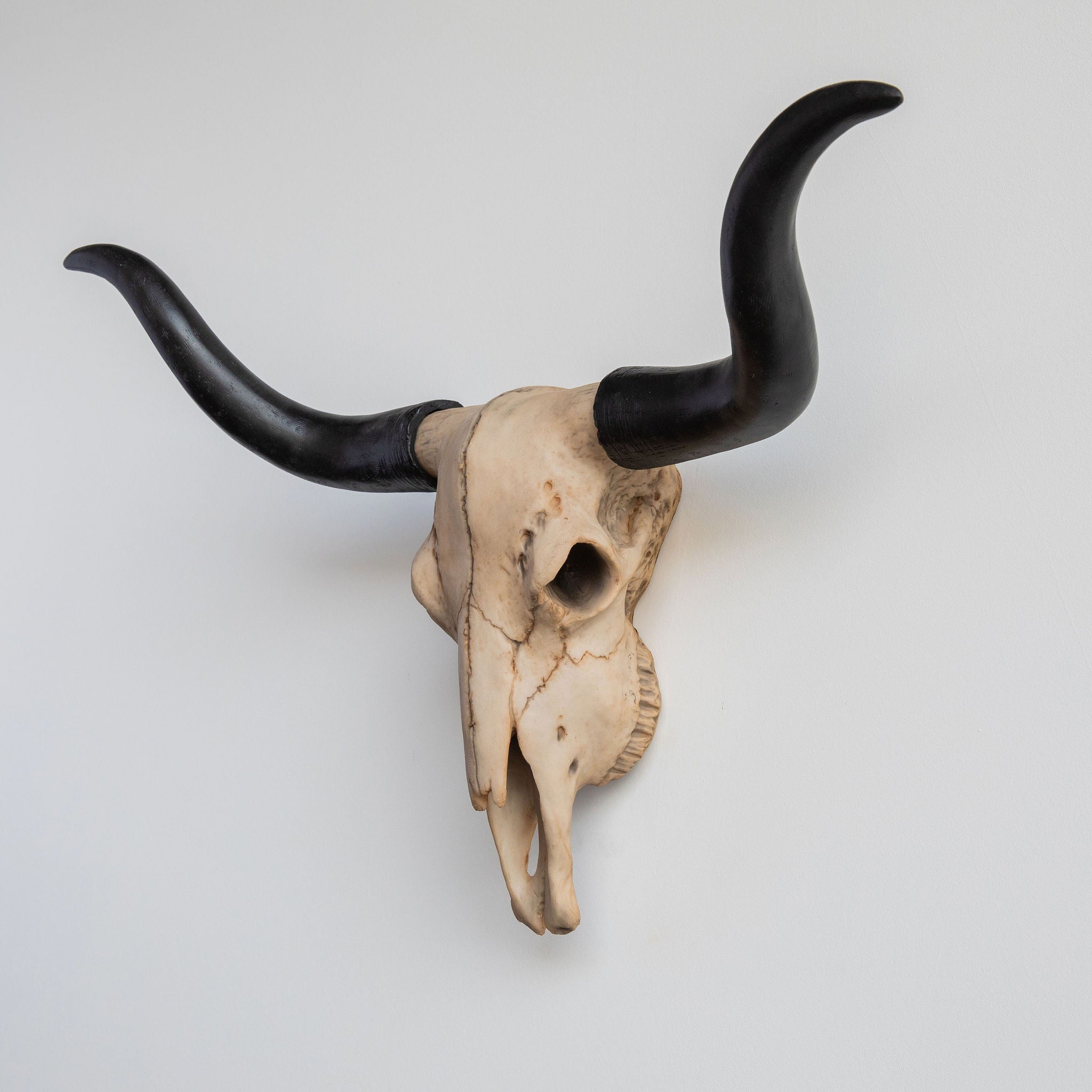 Faux Texas Longhorn Steer Skull Wall Mount // Natural