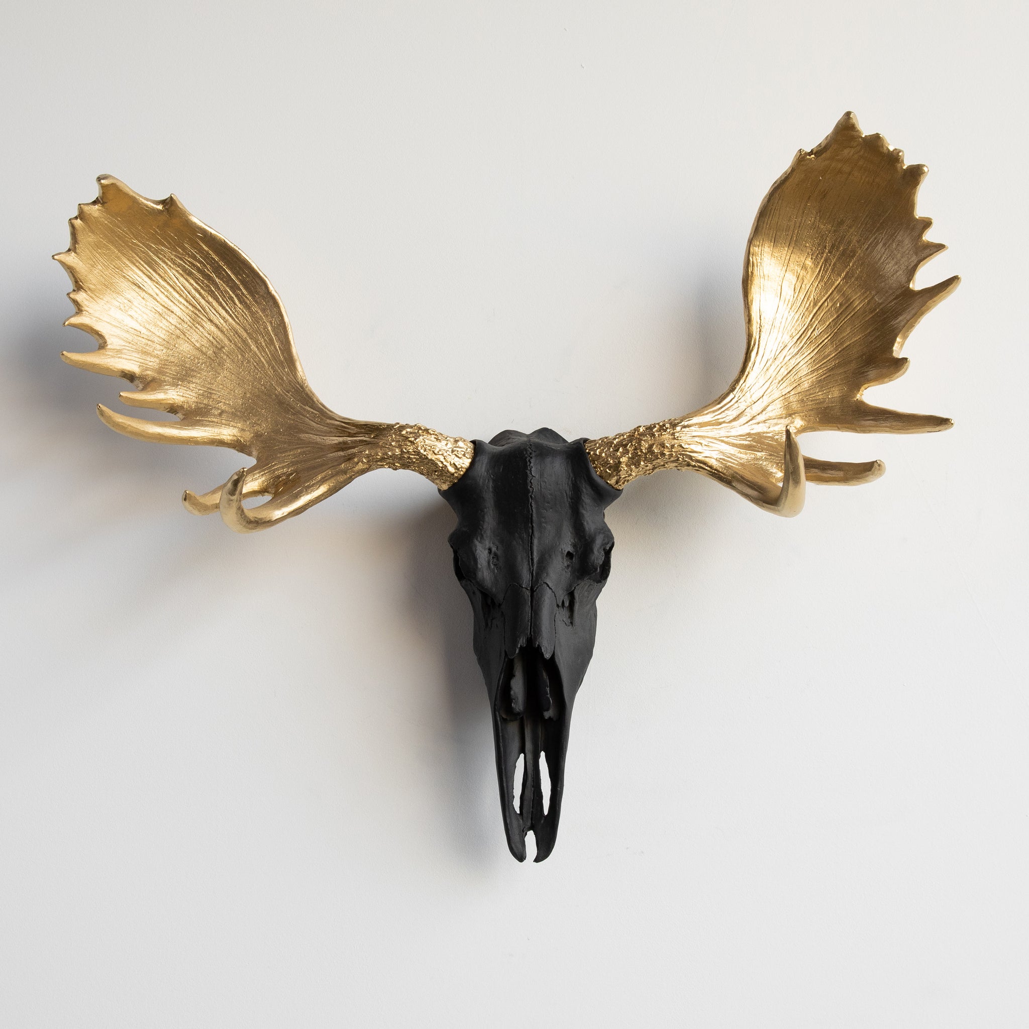 Faux Moose Skull Wall Mount // Black with Gold Antlers