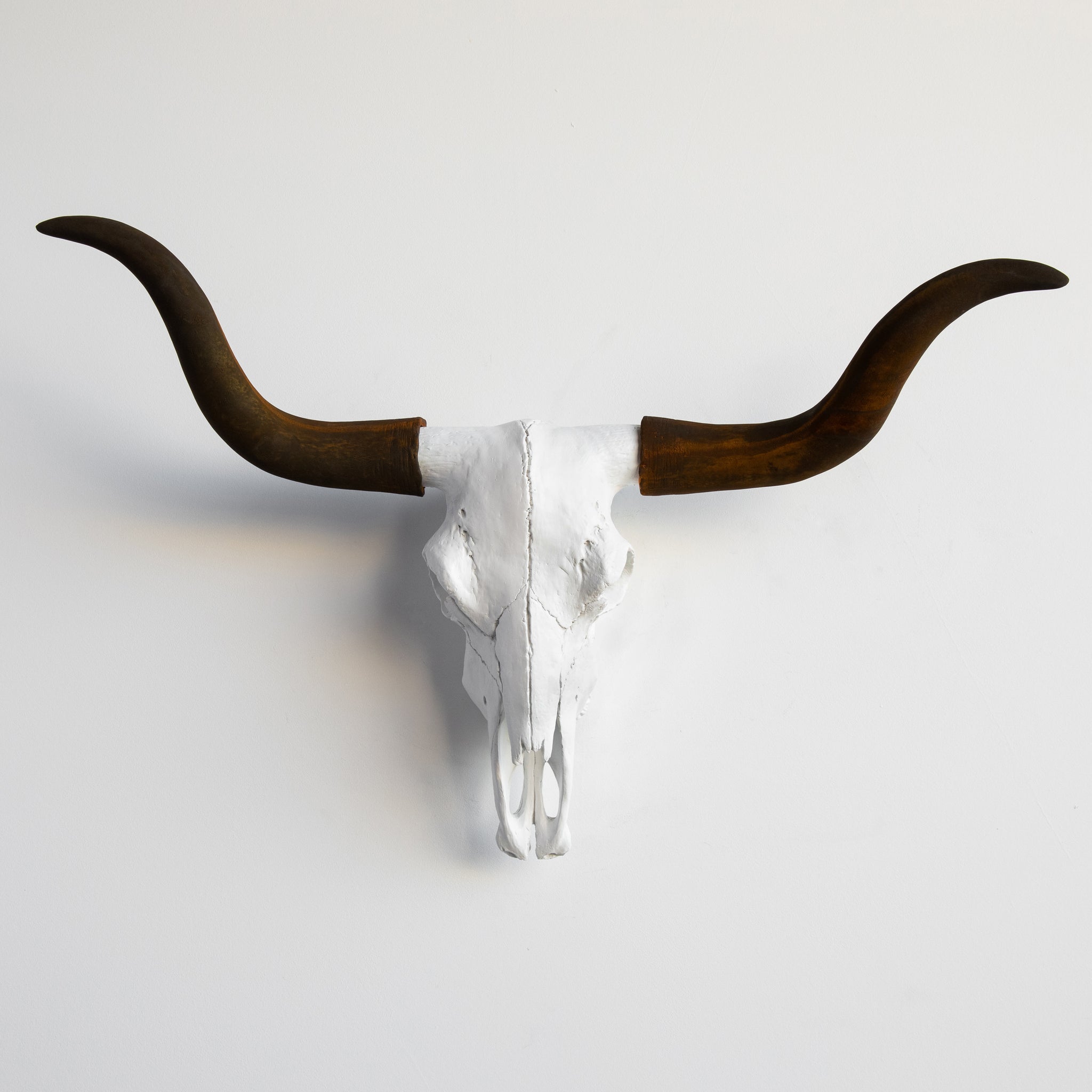 Faux Texas Longhorn Steer Skull Wall Mount // White and Rust