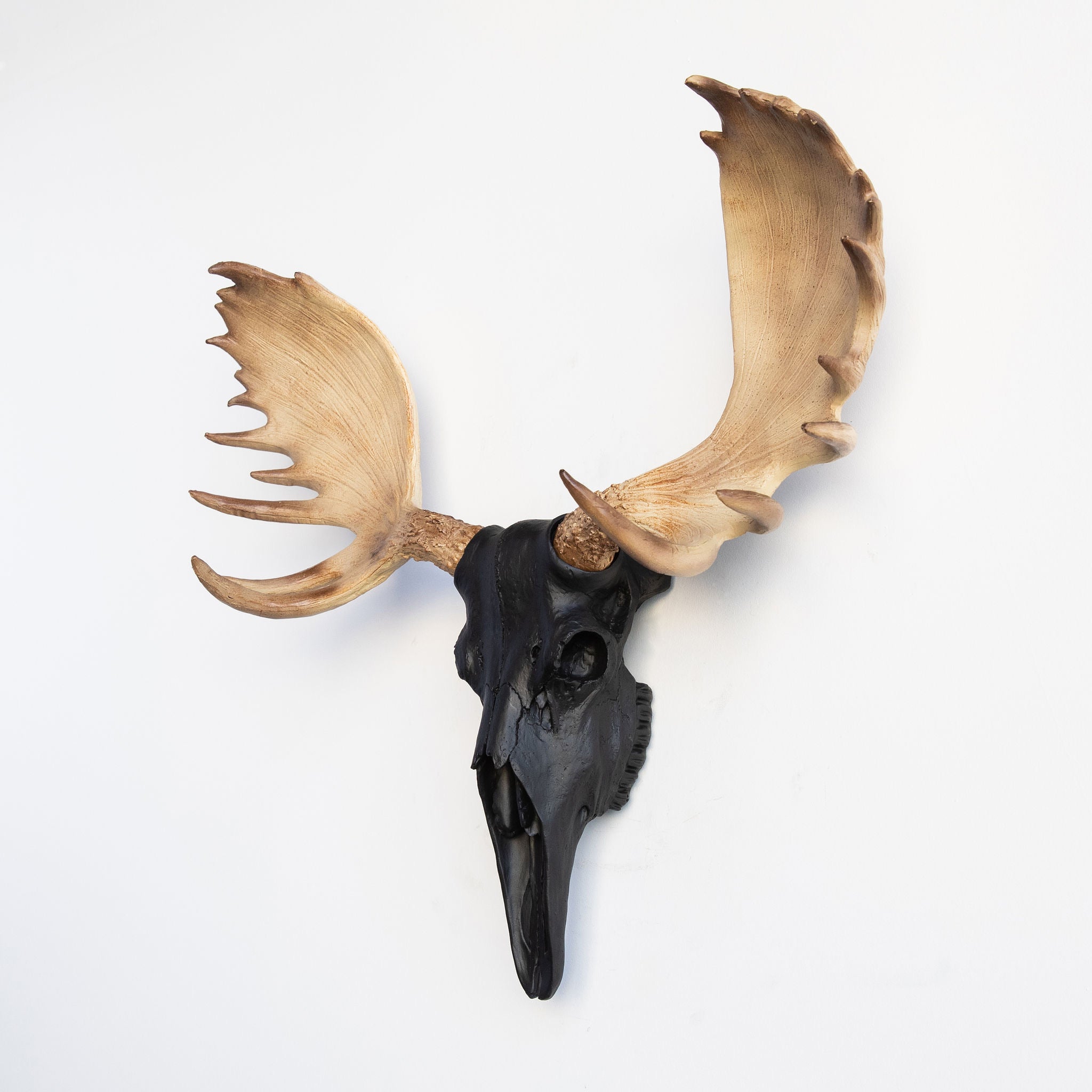 Faux Moose Skull Wall Mount // Black with Natural Brown Antlers