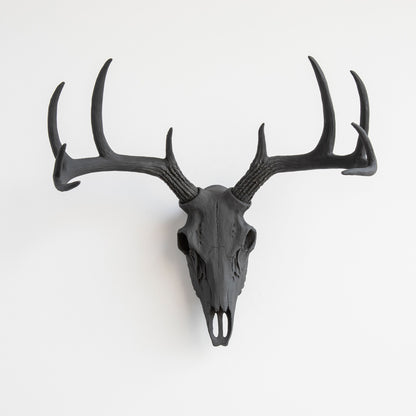 Faux Deer Skull // Black