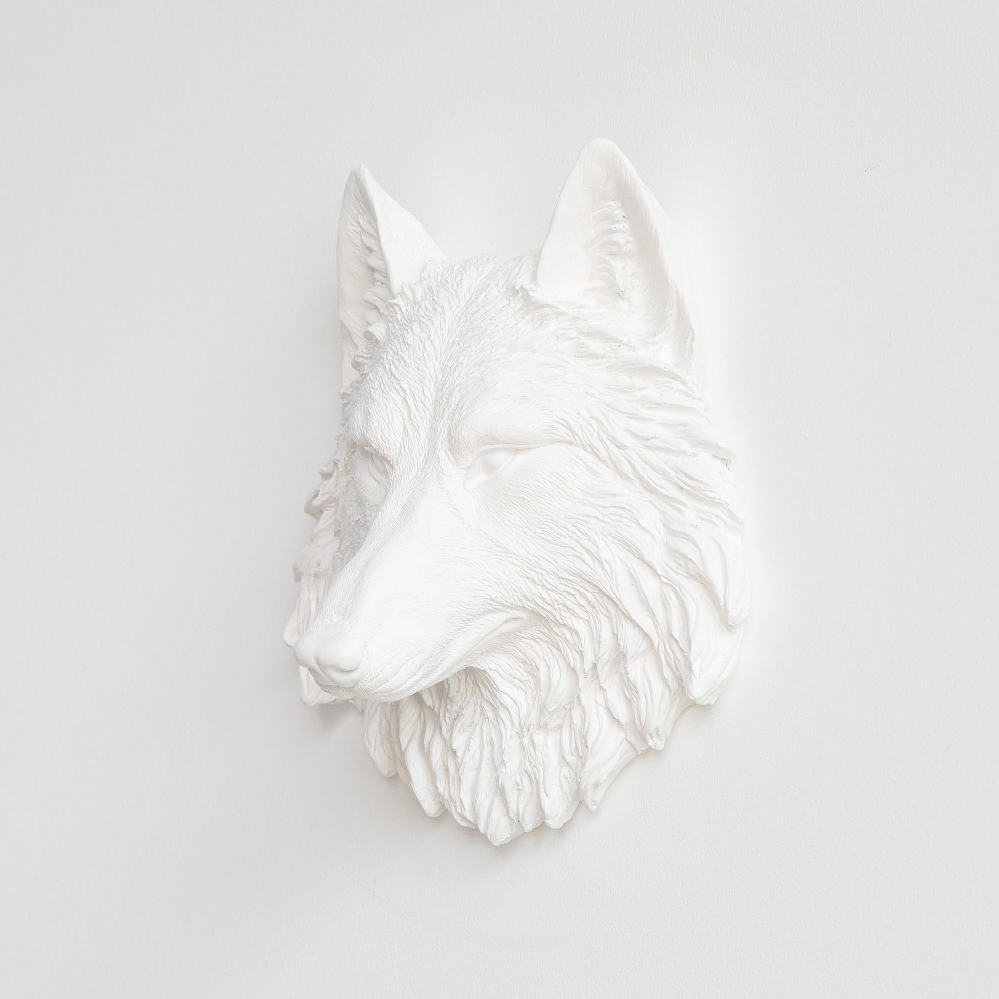 Faux Small Wolf Head Wall Mount // White