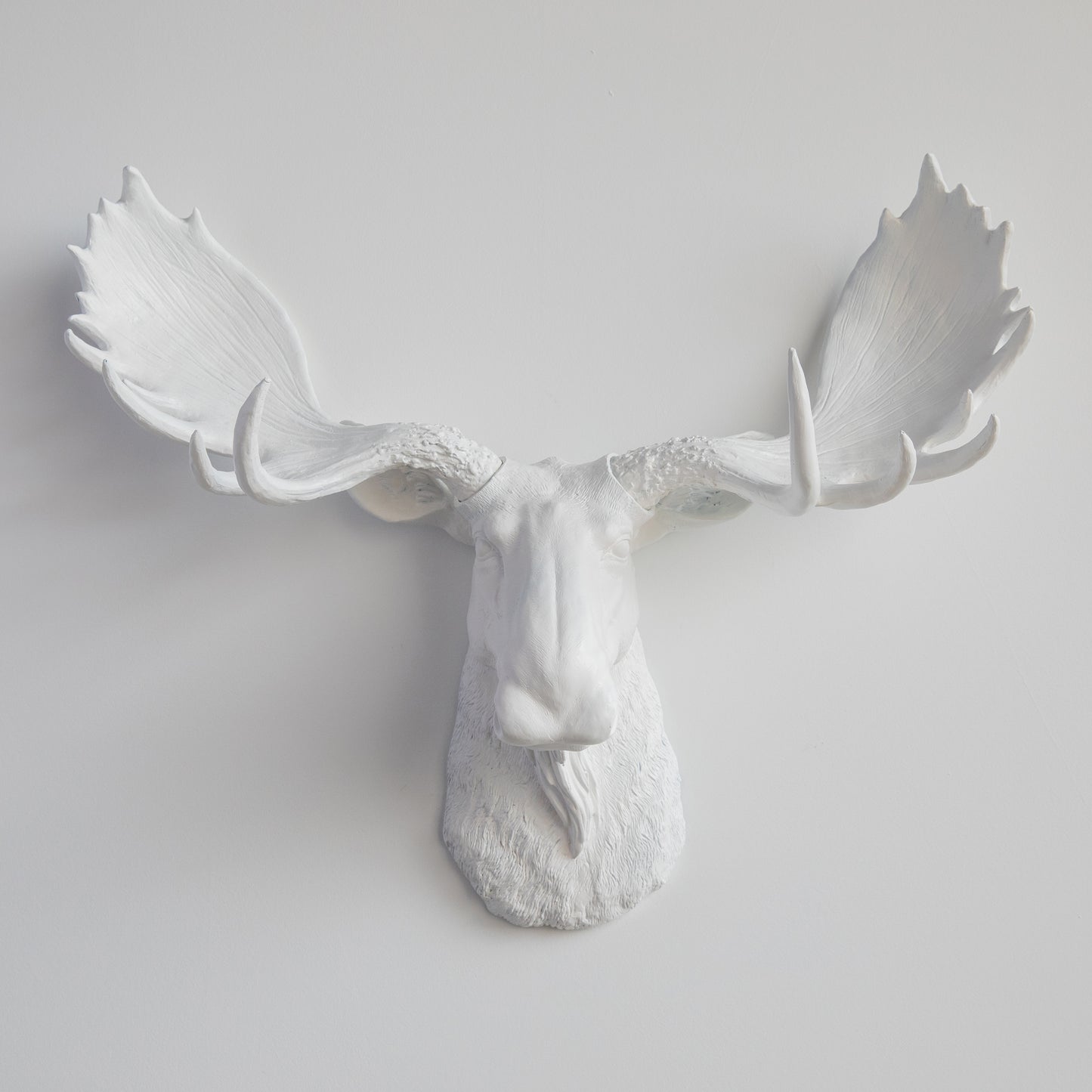 Faux Moose Head Wall Mount // White