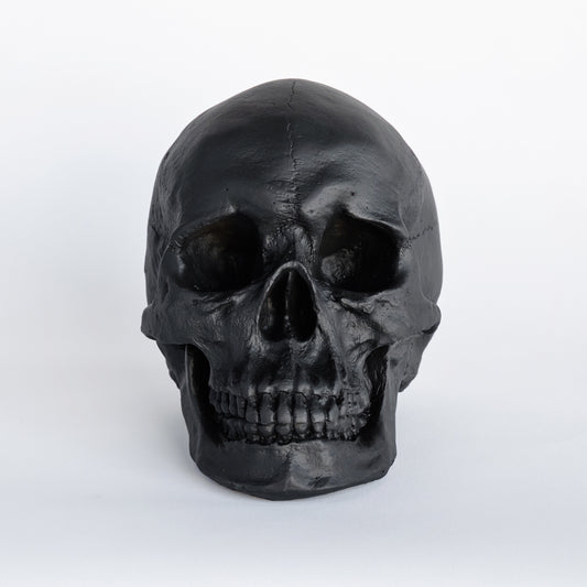 Faux Human Skull Replica // Black