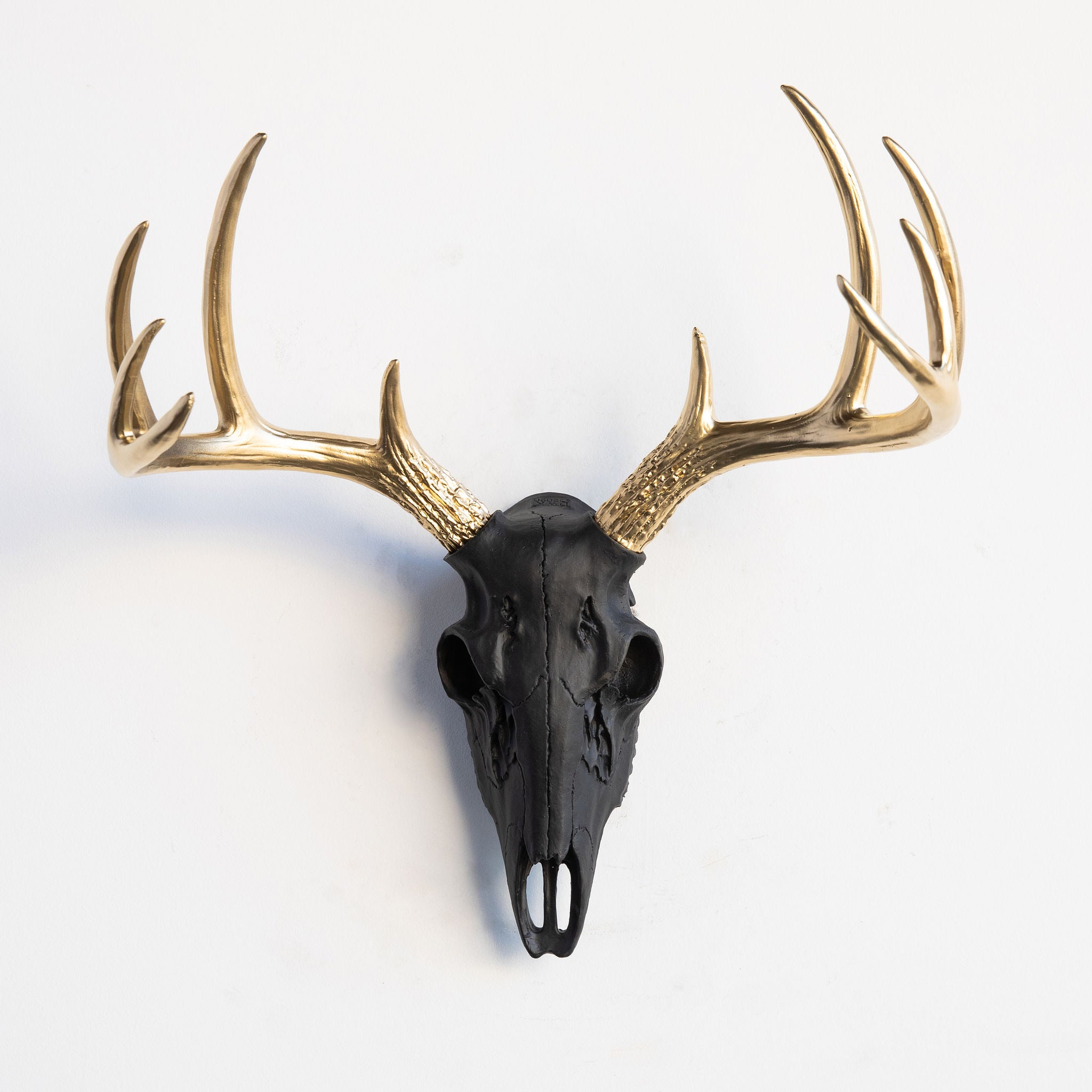 Faux Small Deer Skull // Black with Gold Antlers