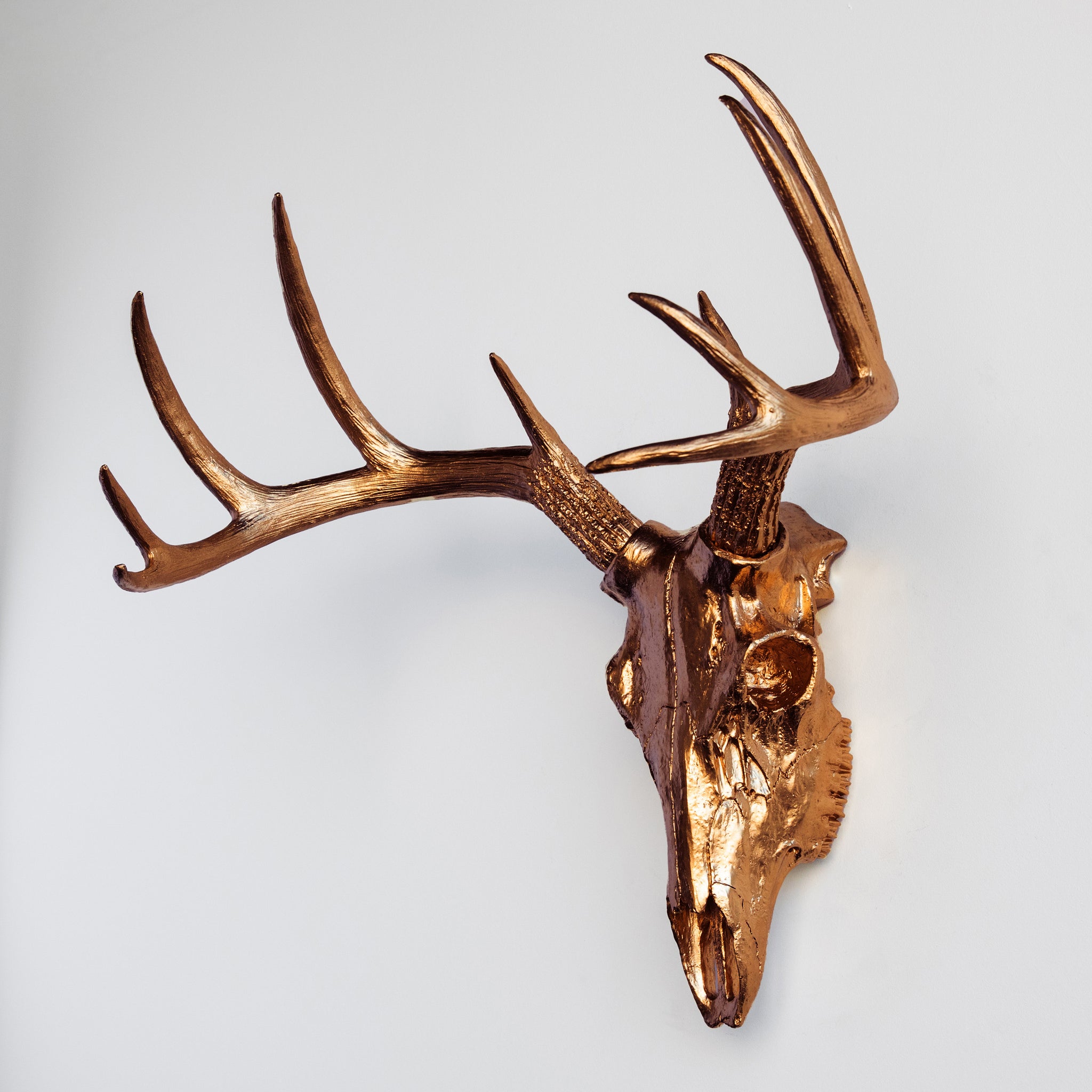 Faux Deer Skull // Bronze