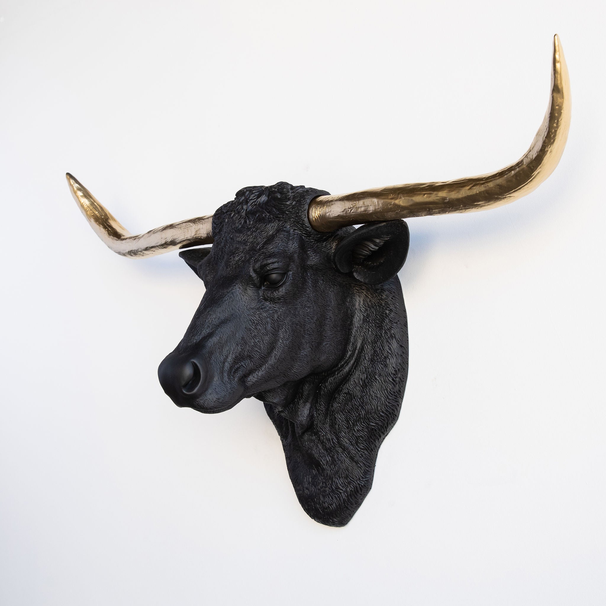 Faux Texas Longhorn Head Wall Mount // Black and Gold