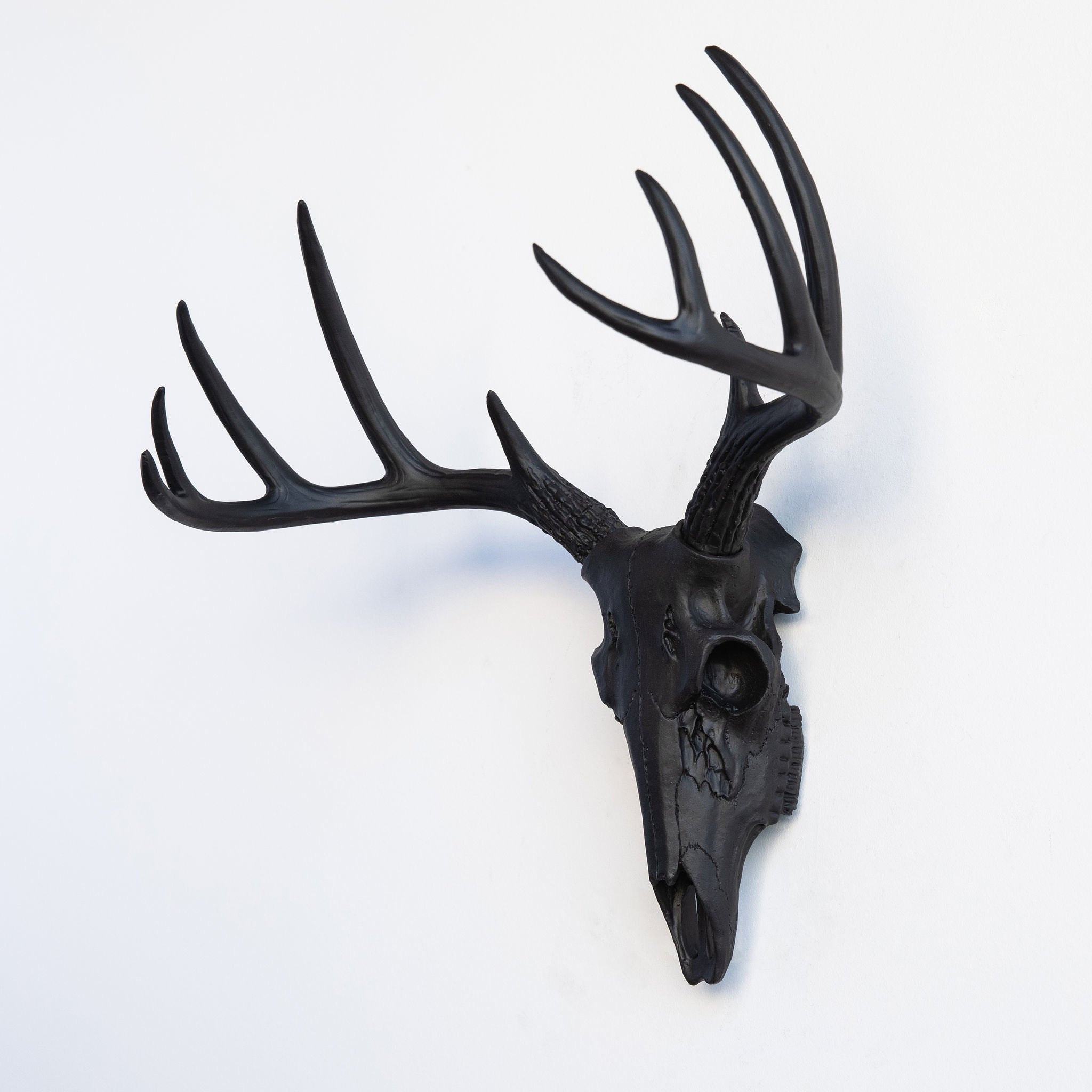Faux Small Deer Skull // Black