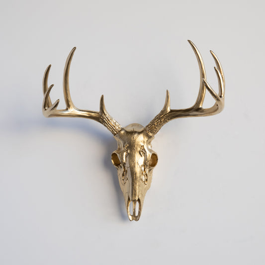 Faux Small Deer Skull // Gold