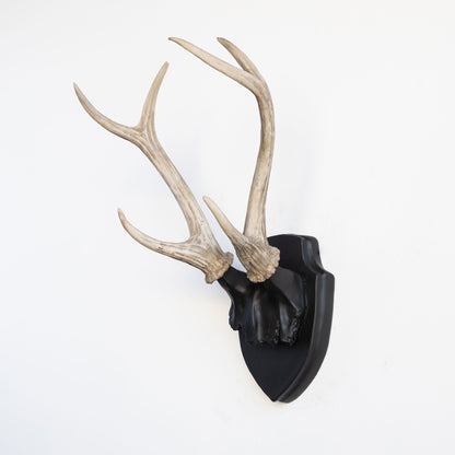 Faux Deer Antler Wall Trophy // Black and Natural