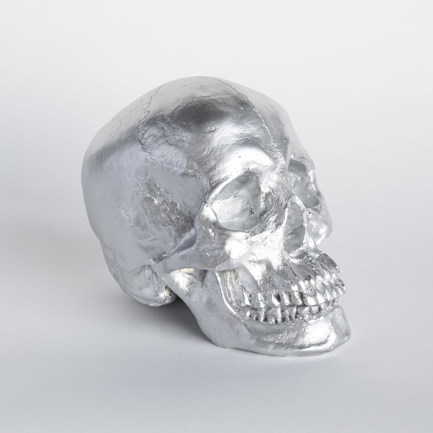 Faux Human Skull Replica // Silver