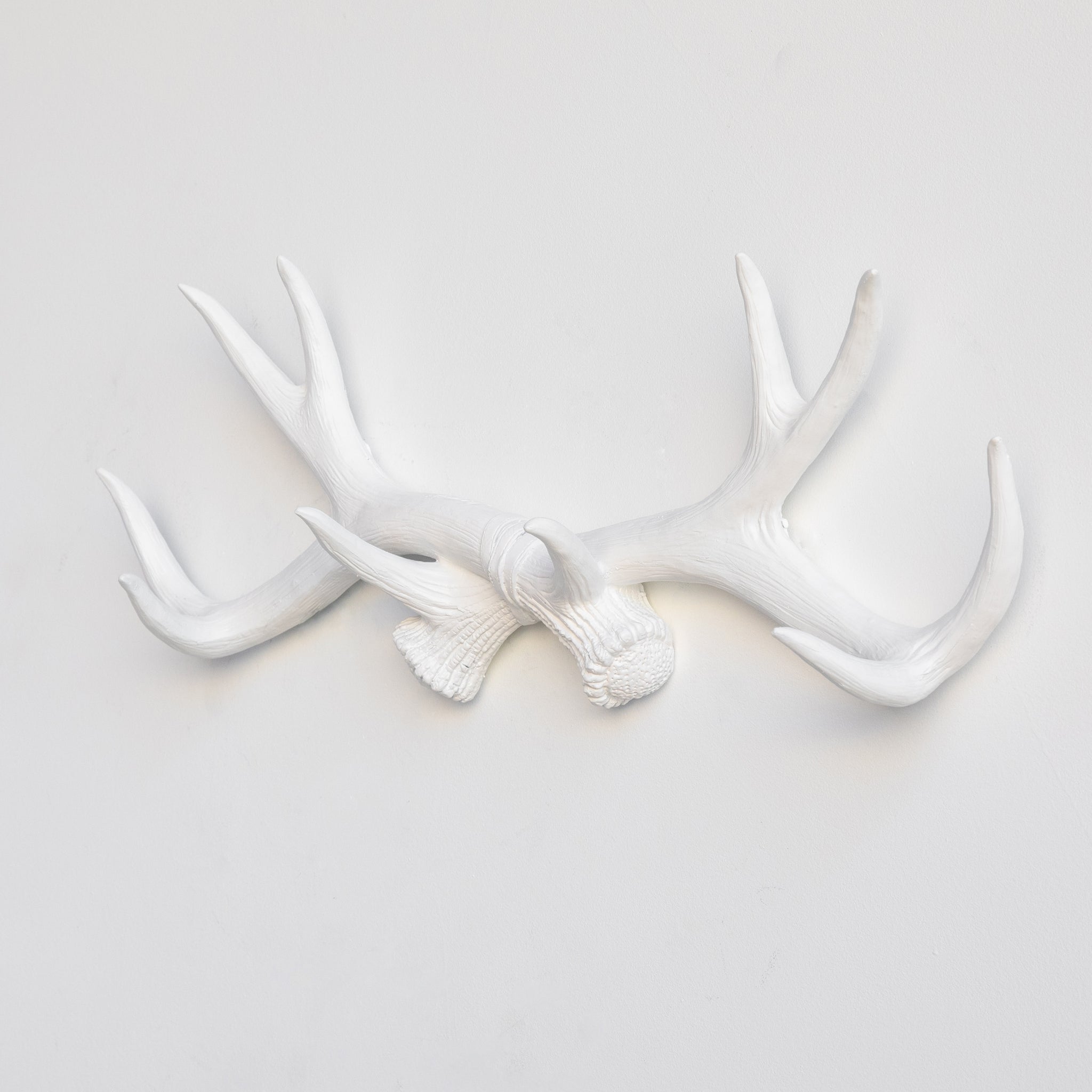 Faux Deer Antler Wall Hook // White