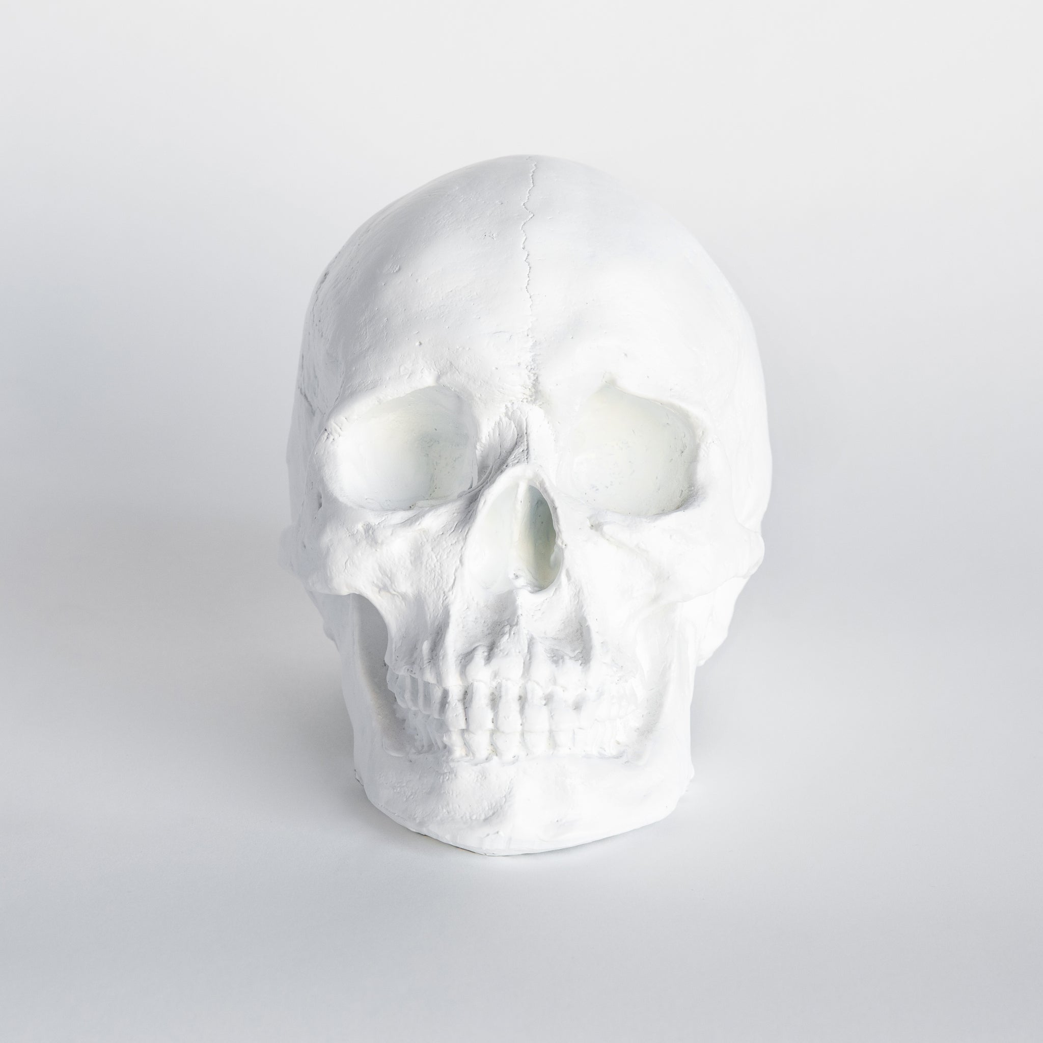 Faux Human Skull Replica // White